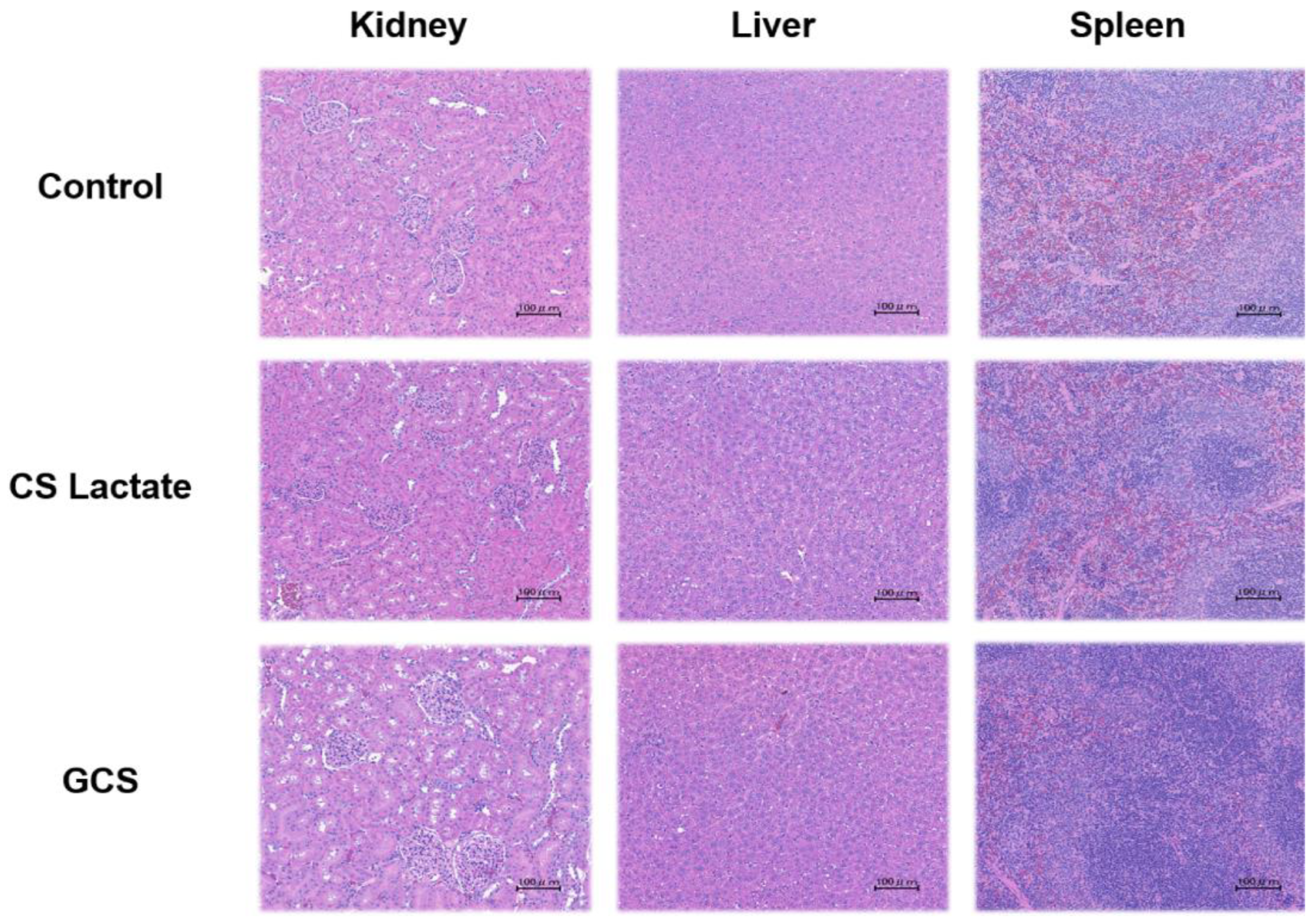 Jfb 14 00340 g002 Jfb 14 00340 g002