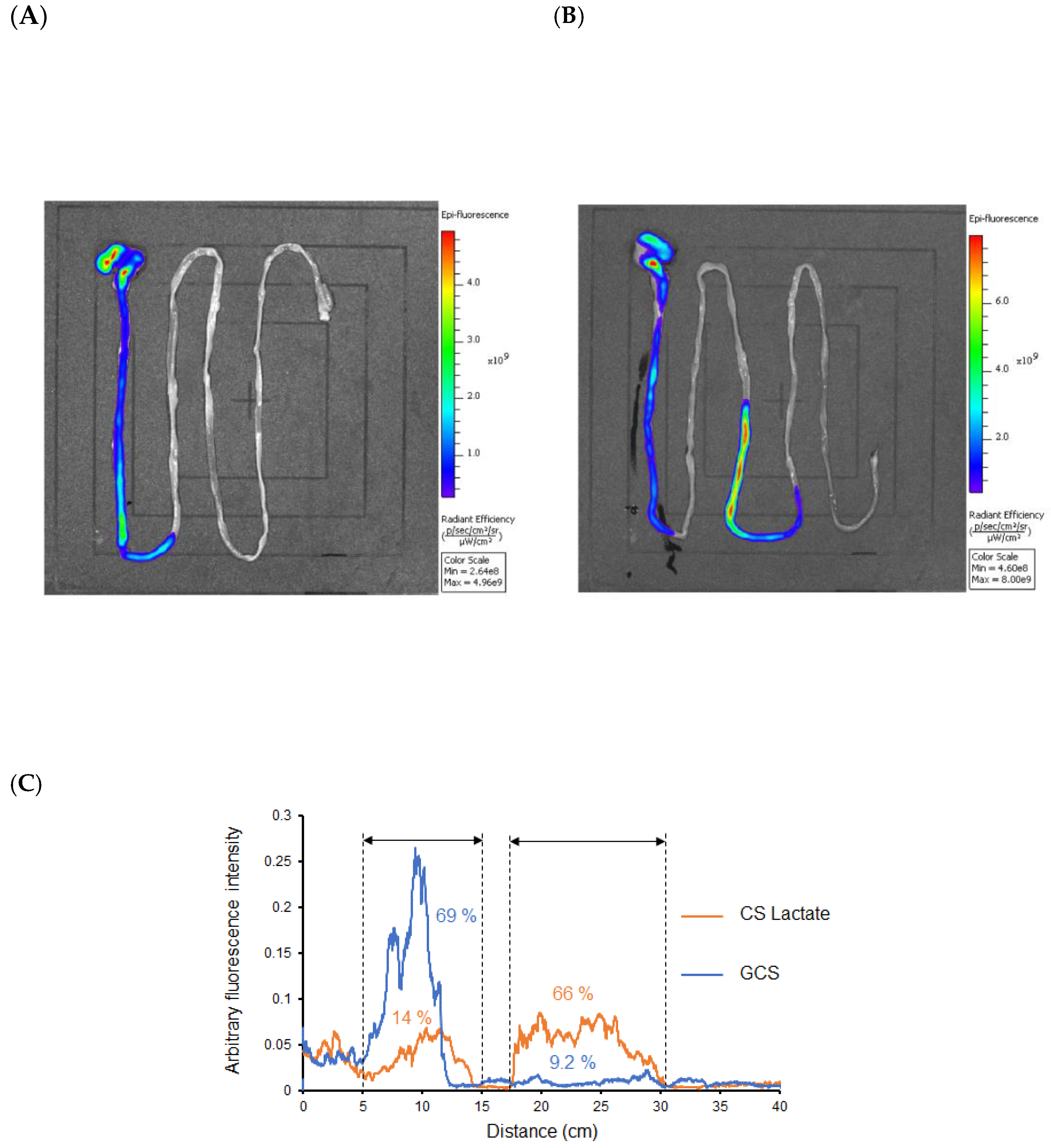 Jfb 14 00340 g003 Jfb 14 00340 g003