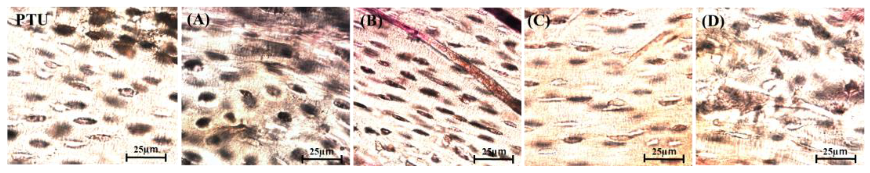 Jfb 14 00356 g006 Jfb 14 00356 g006