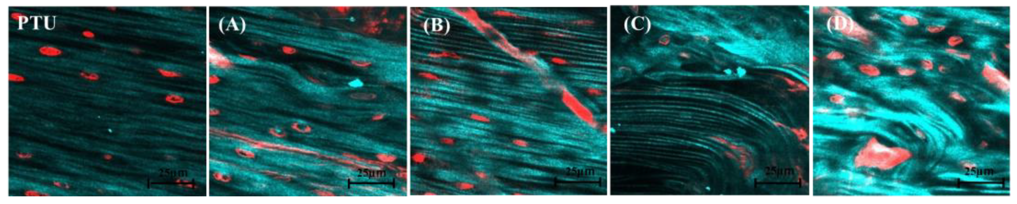 Jfb 14 00356 g008 Jfb 14 00356 g008