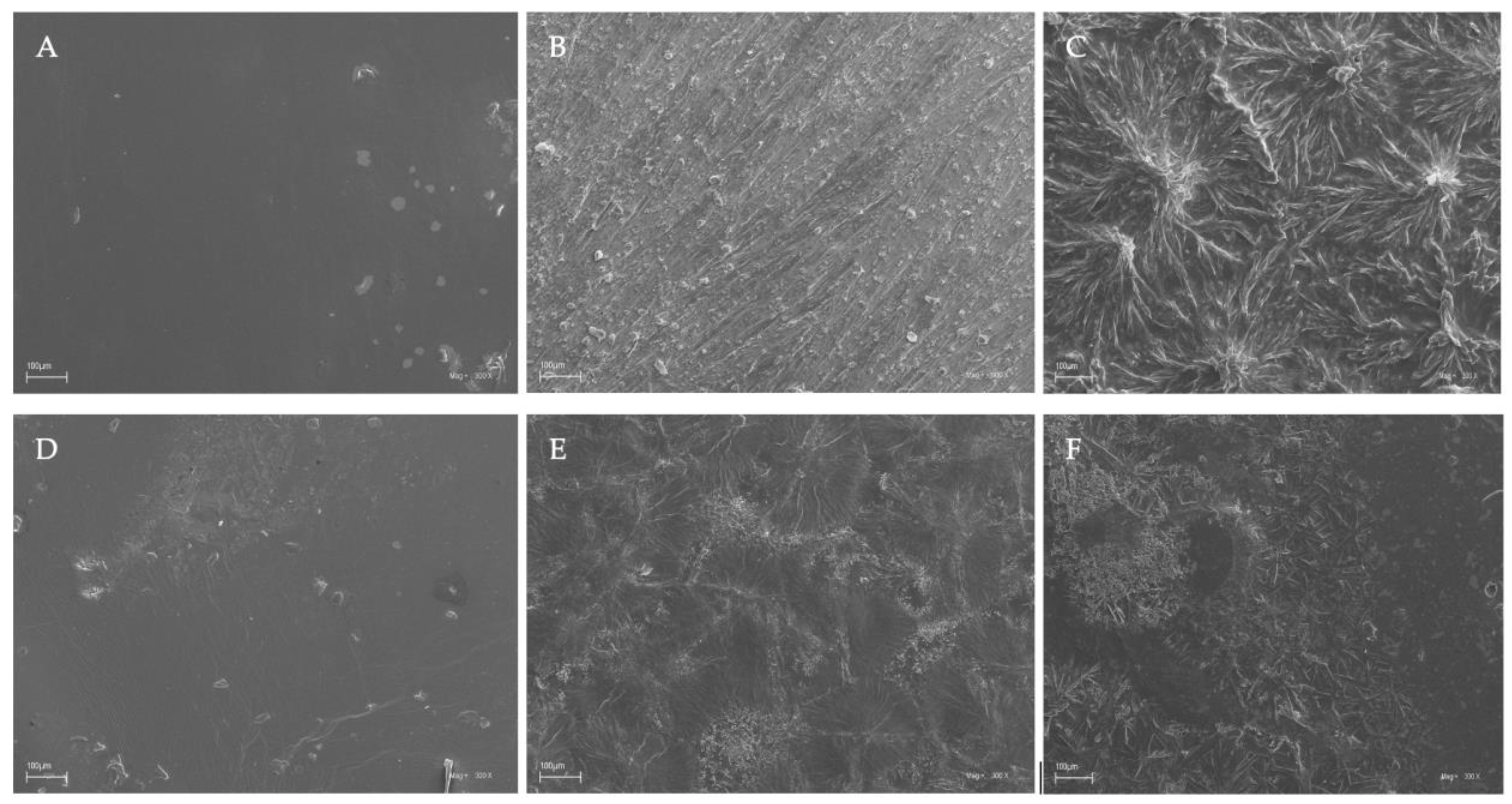 Jfb 14 00358 g004 Jfb 14 00358 g004