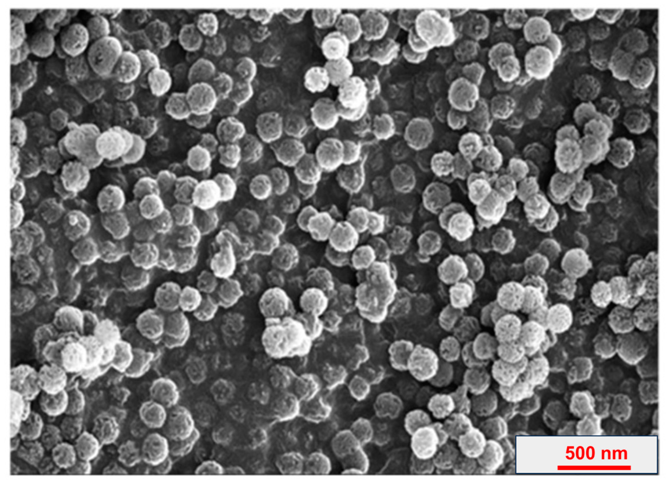 Jfb 14 00362 g004 Jfb 14 00362 g004