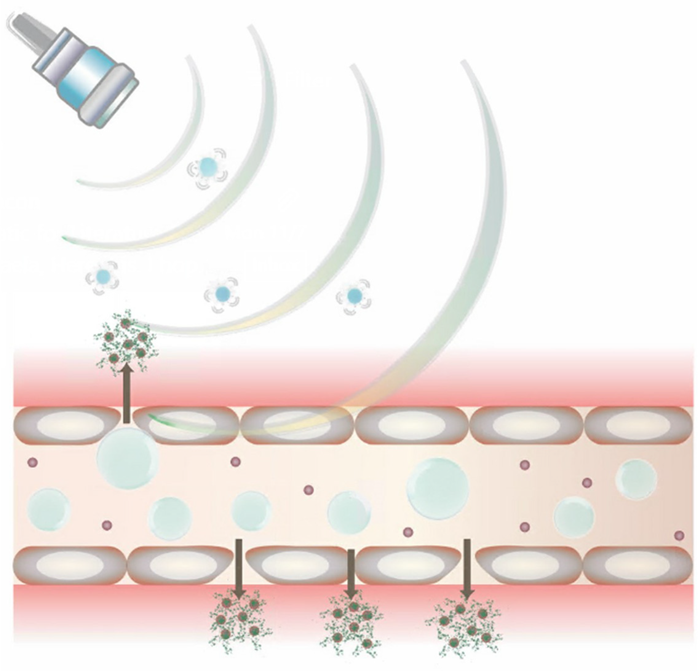 Jfb 14 00373 g002 Jfb 14 00373 g002