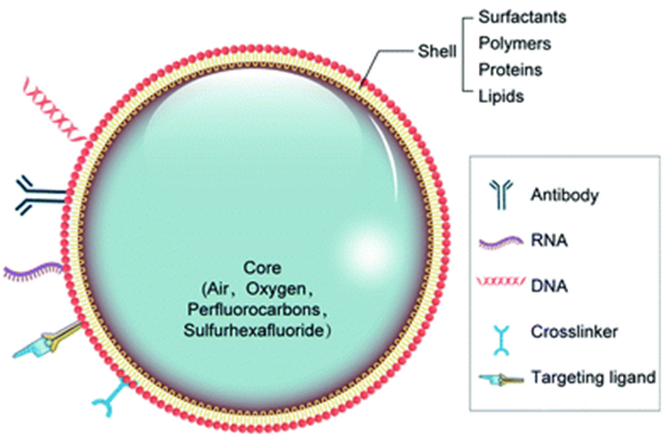 Jfb 14 00373 g003 Jfb 14 00373 g003