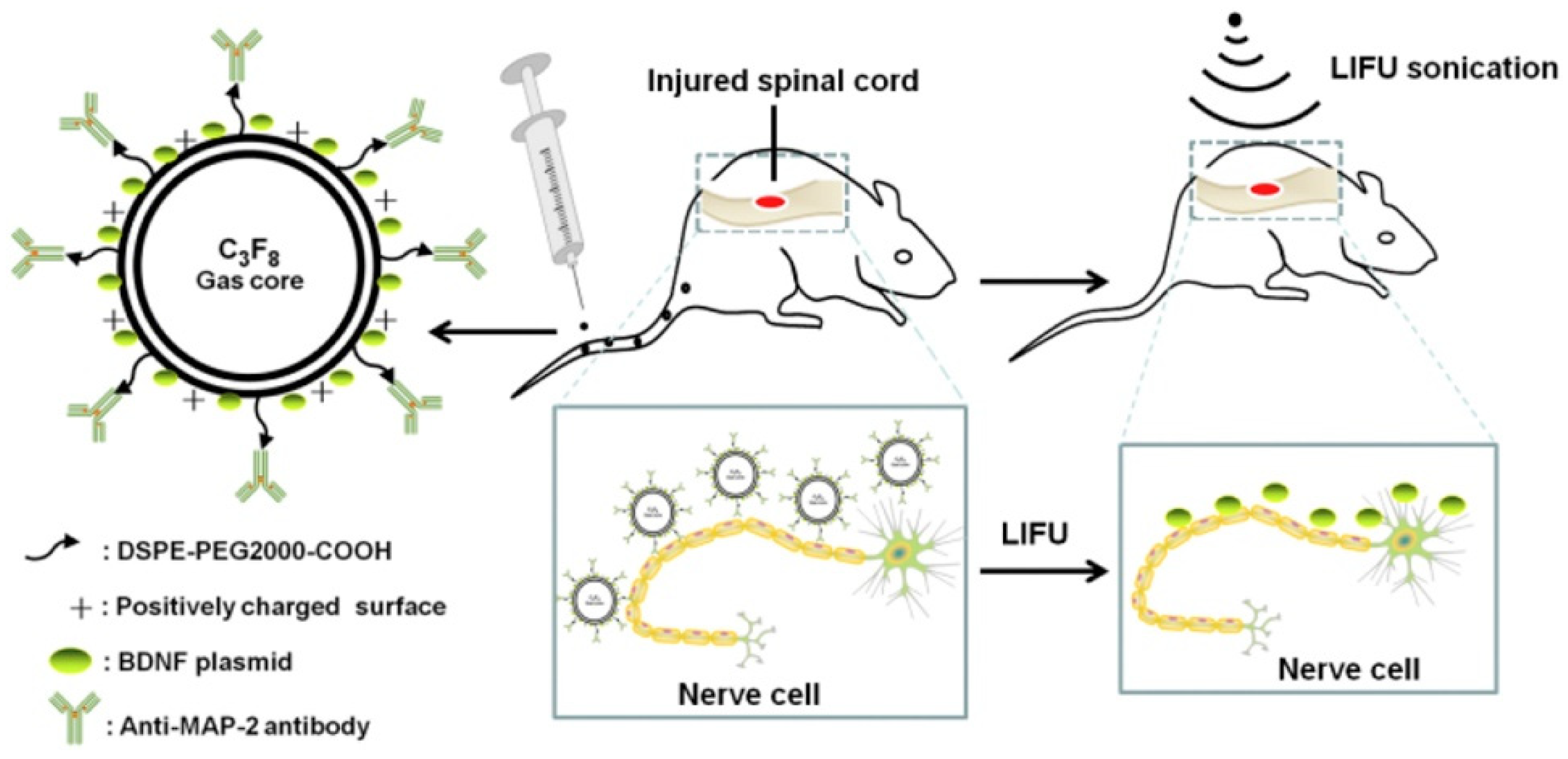 Jfb 14 00373 g004 Jfb 14 00373 g004