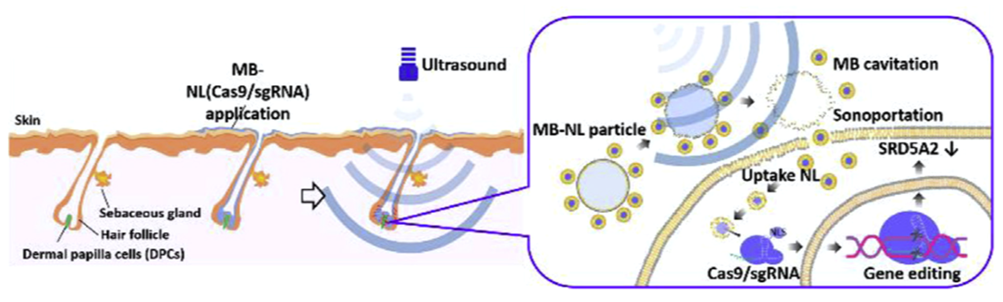 Jfb 14 00373 g006 Jfb 14 00373 g006