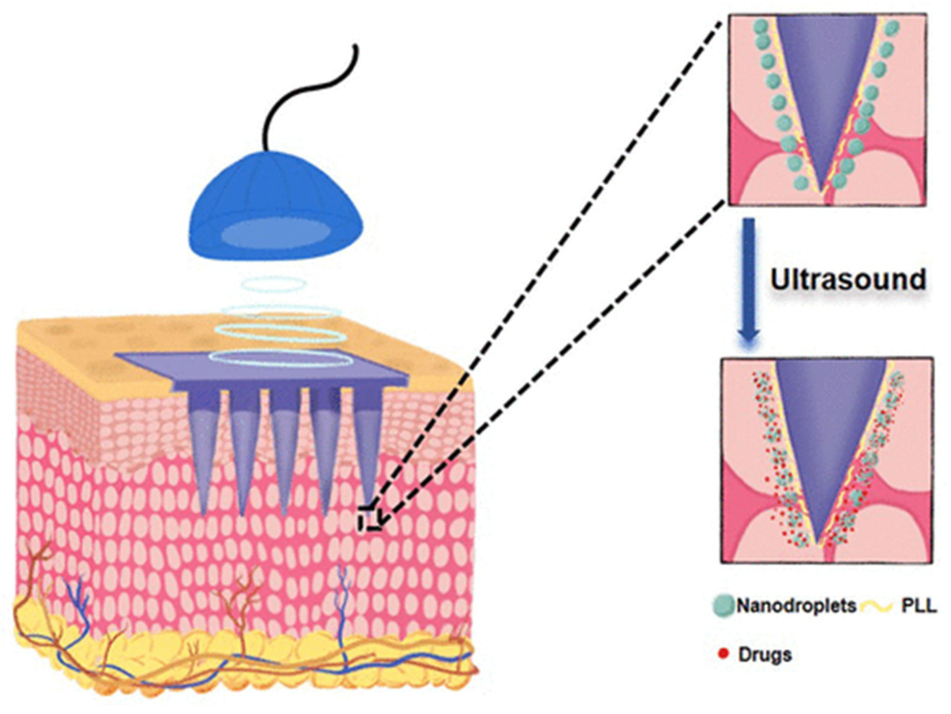 Jfb 14 00373 g008 Jfb 14 00373 g008