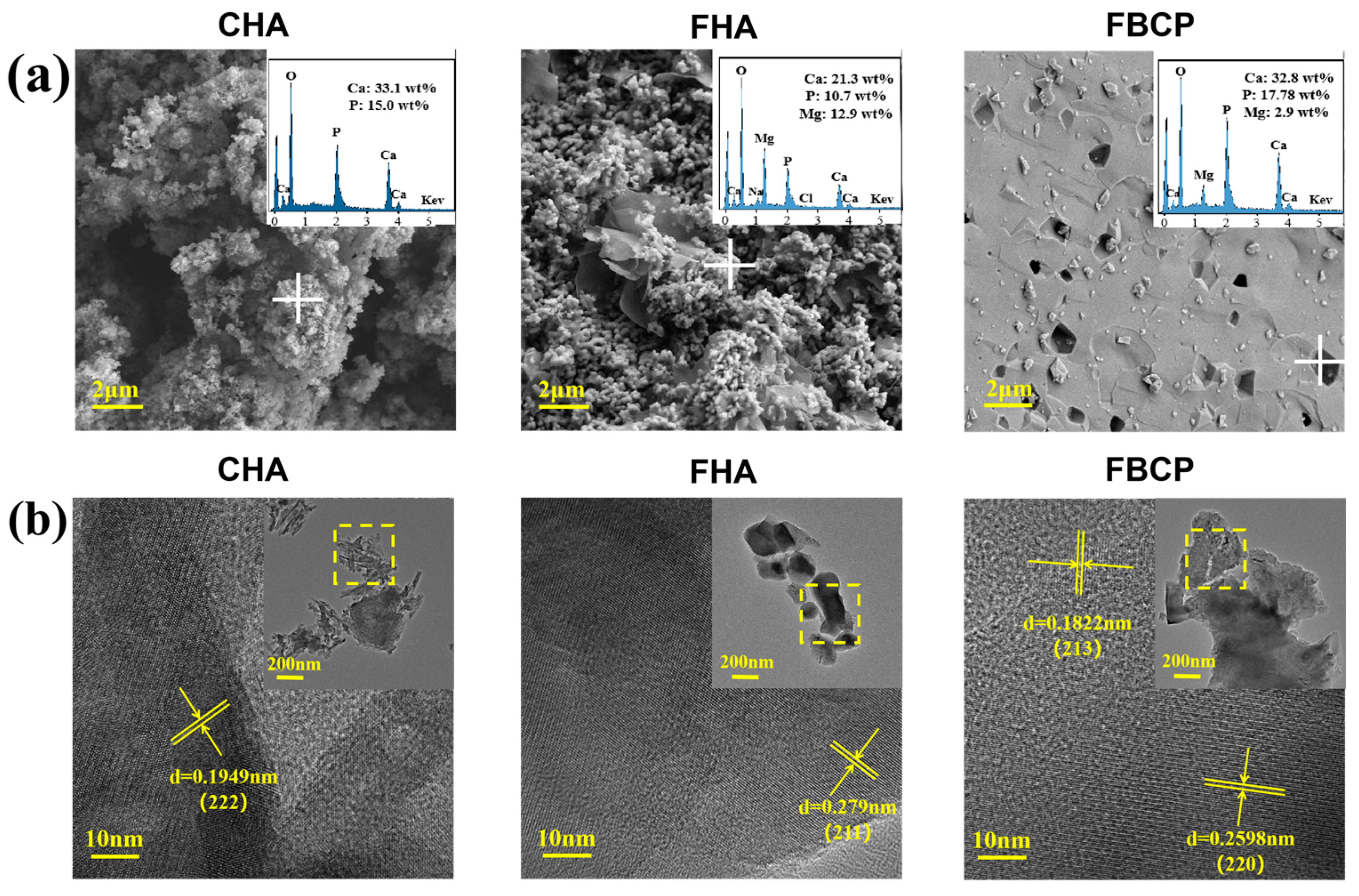Jfb 14 00390 g002 Jfb 14 00390 g002