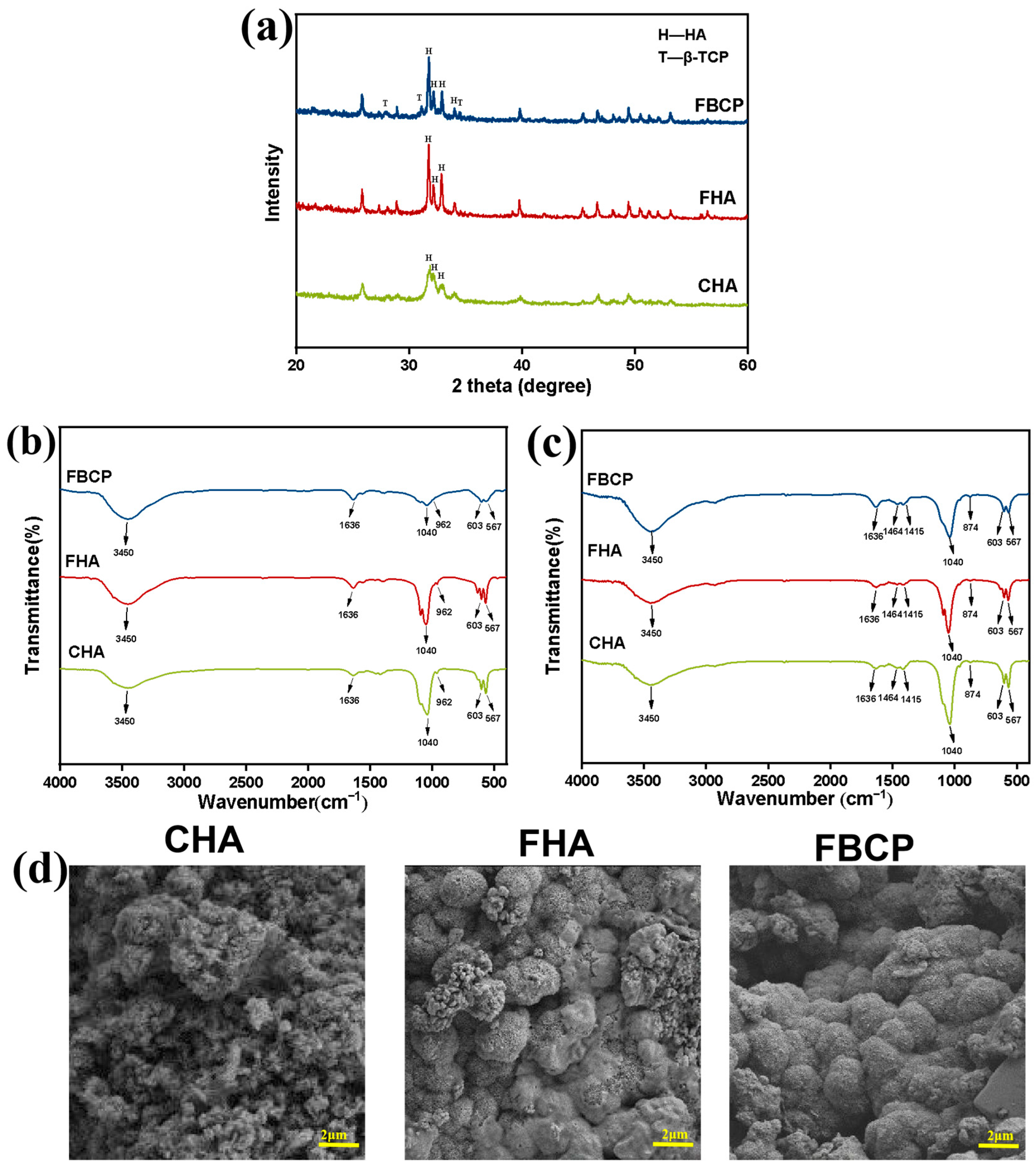 Jfb 14 00390 g004 Jfb 14 00390 g004
