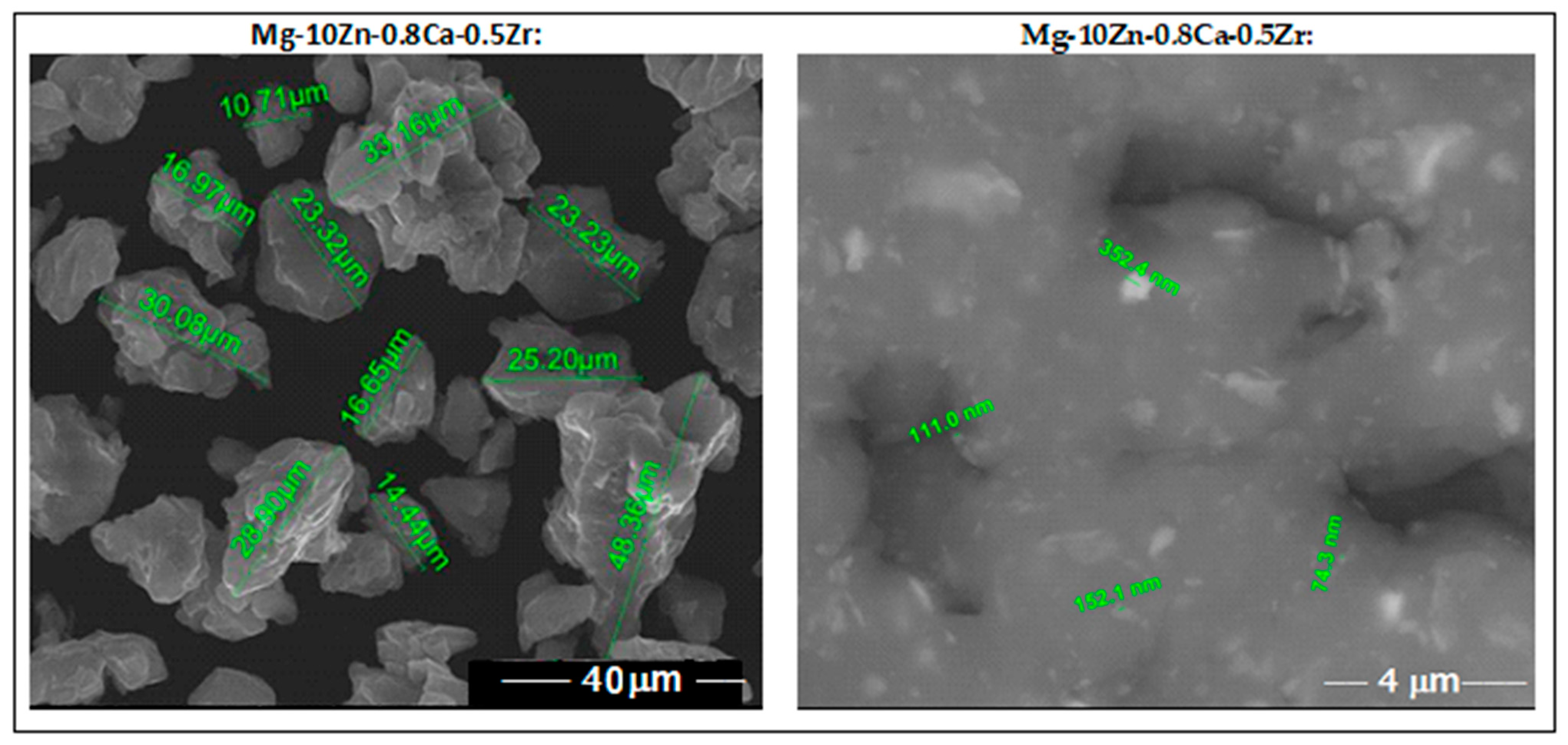 Jfb 14 00400 g003 Jfb 14 00400 g003