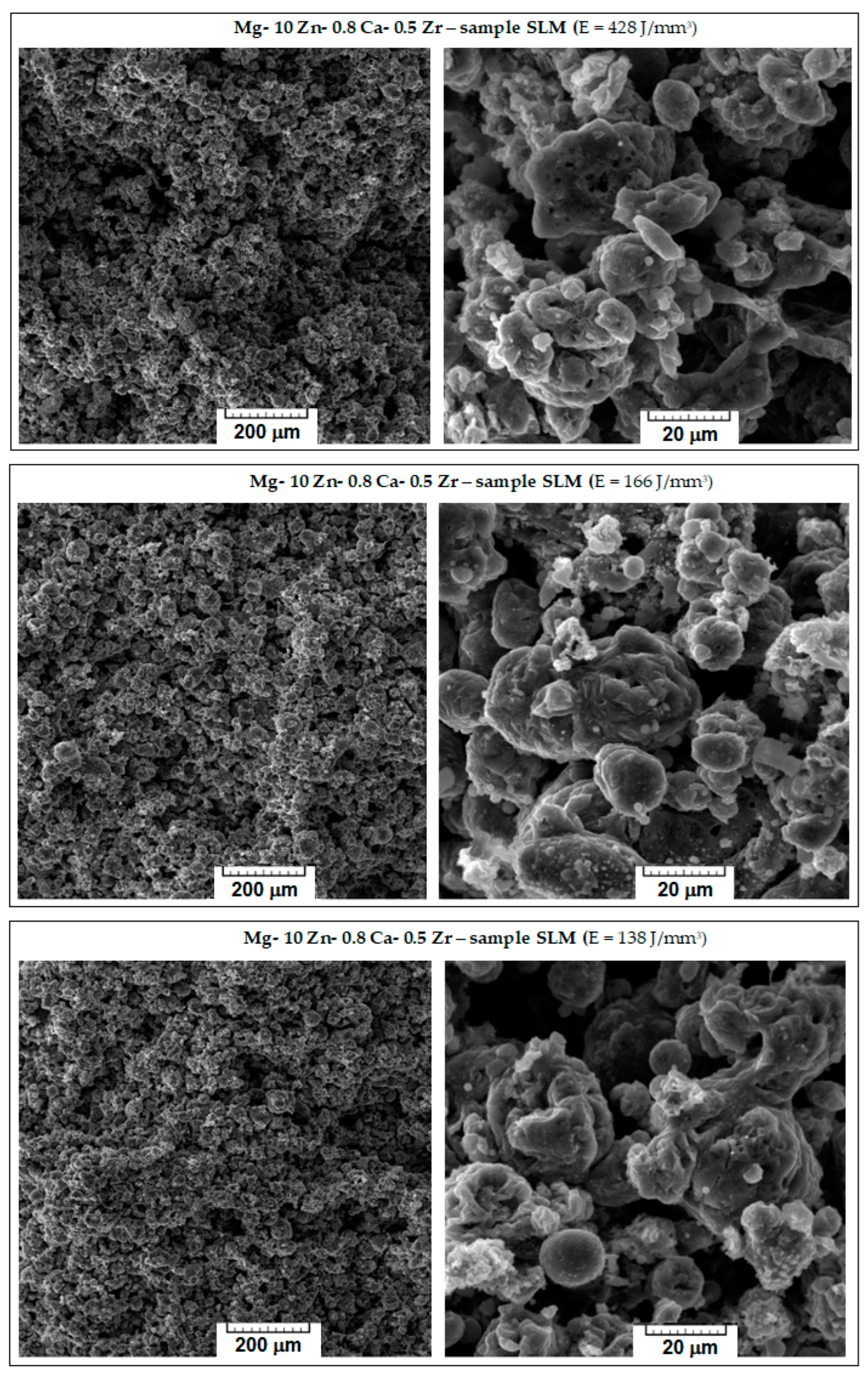 Jfb 14 00400 g004 Jfb 14 00400 g004