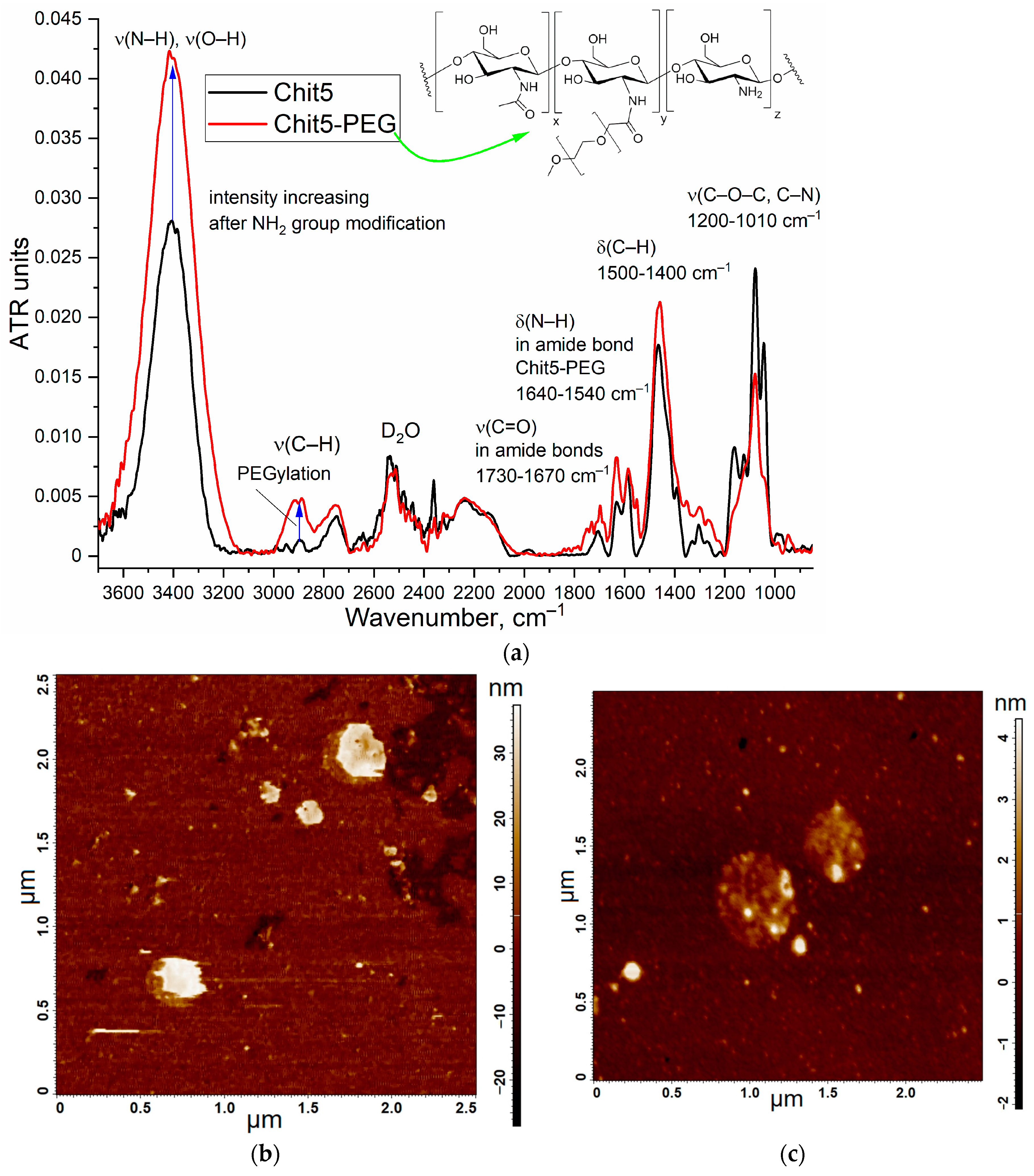 Jfb 14 00401 g001 Jfb 14 00401 g001