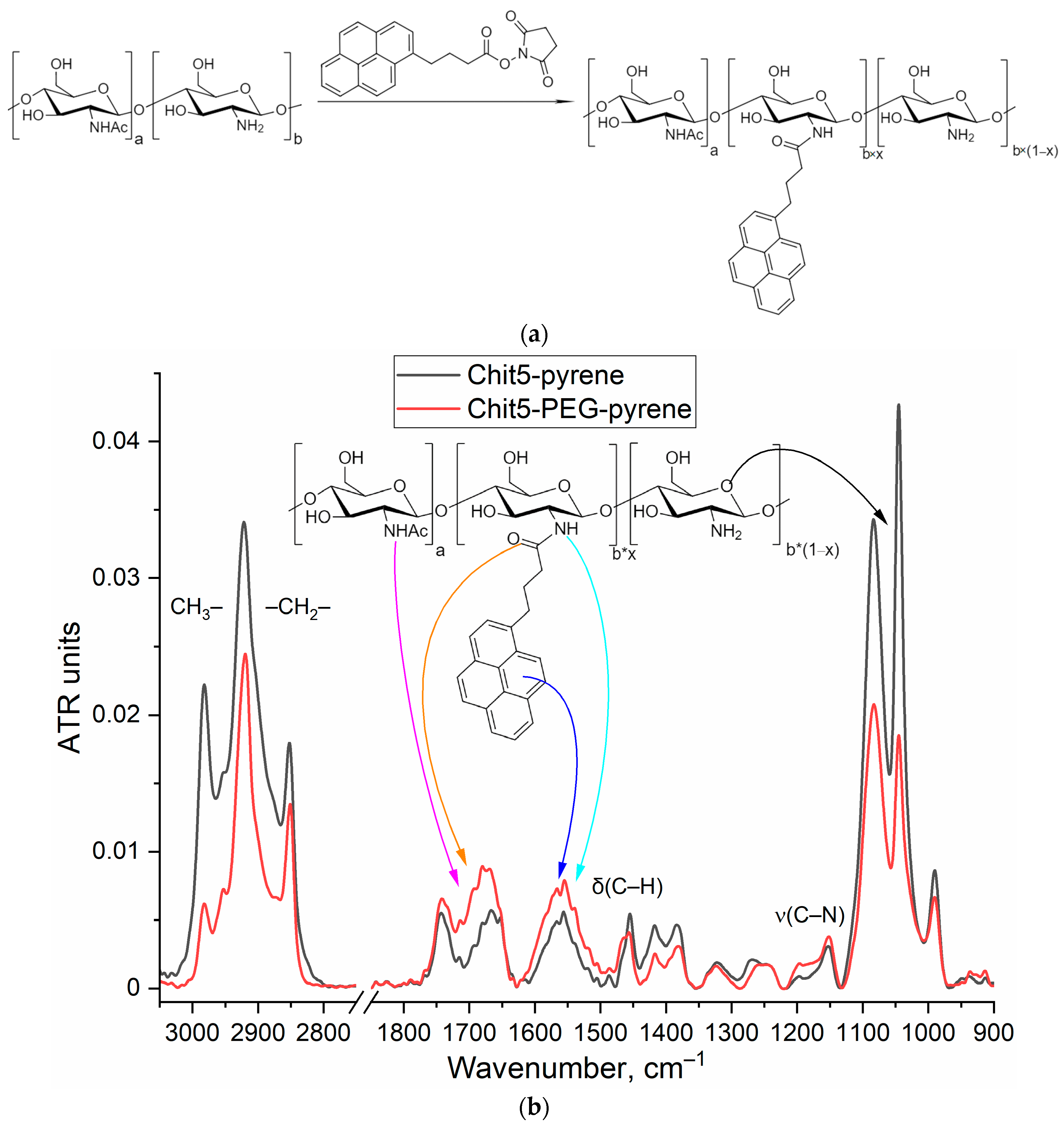 Jfb 14 00401 g002a Jfb 14 00401 g002a