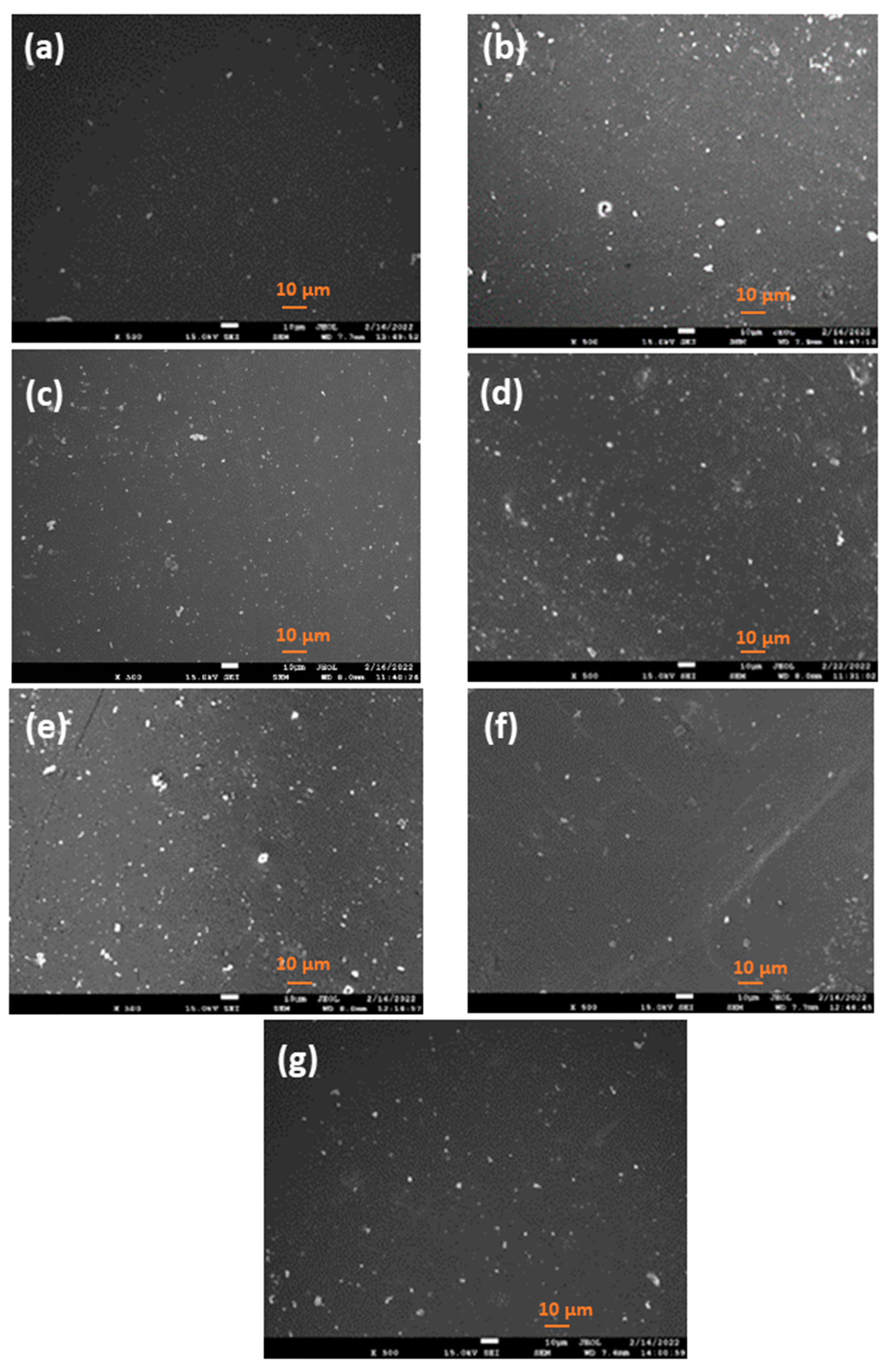 Jfb 14 00405 g001 Jfb 14 00405 g001