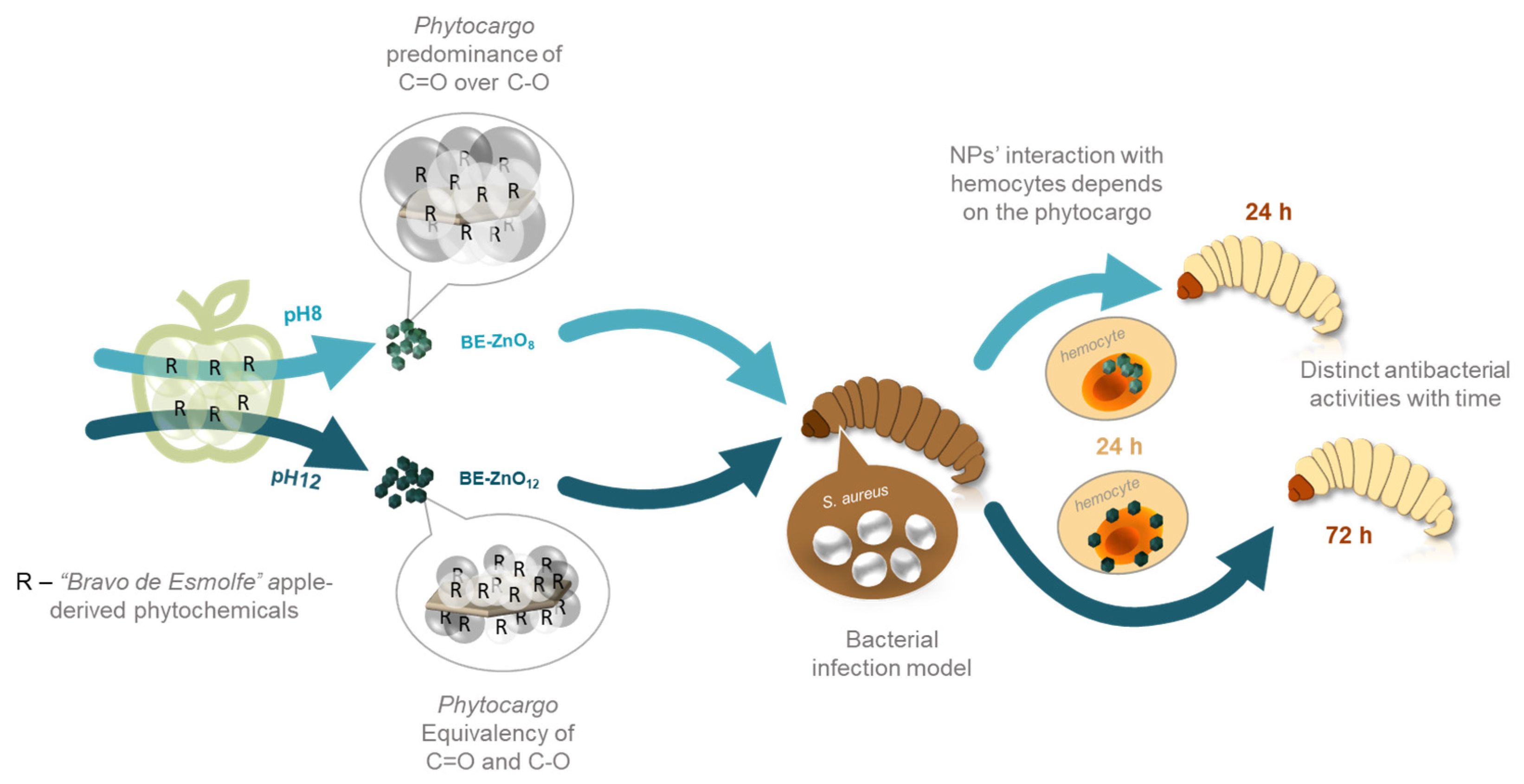 Jfb 14 00463 g005 Jfb 14 00463 g005