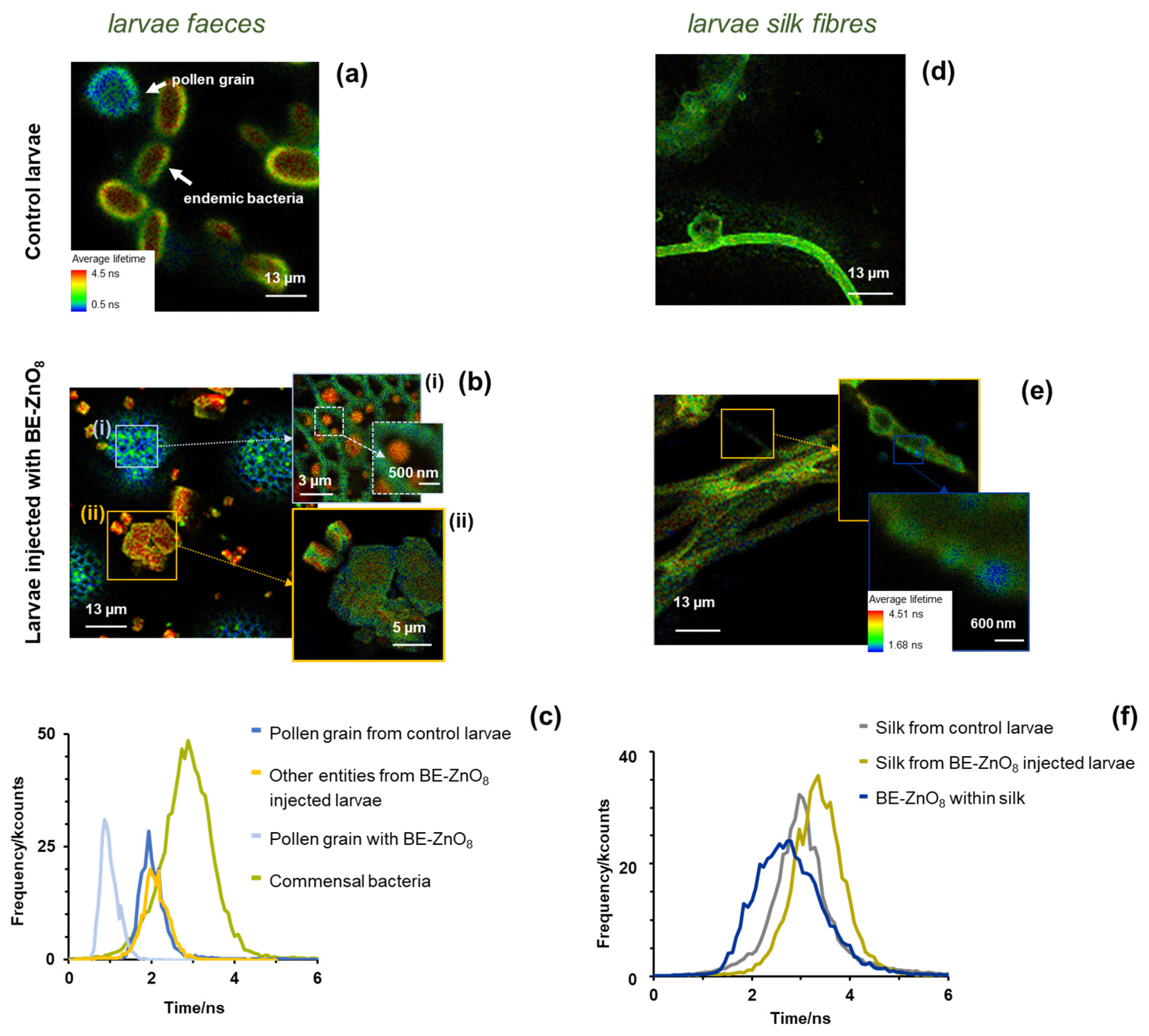 Jfb 14 00463 g007 Jfb 14 00463 g007