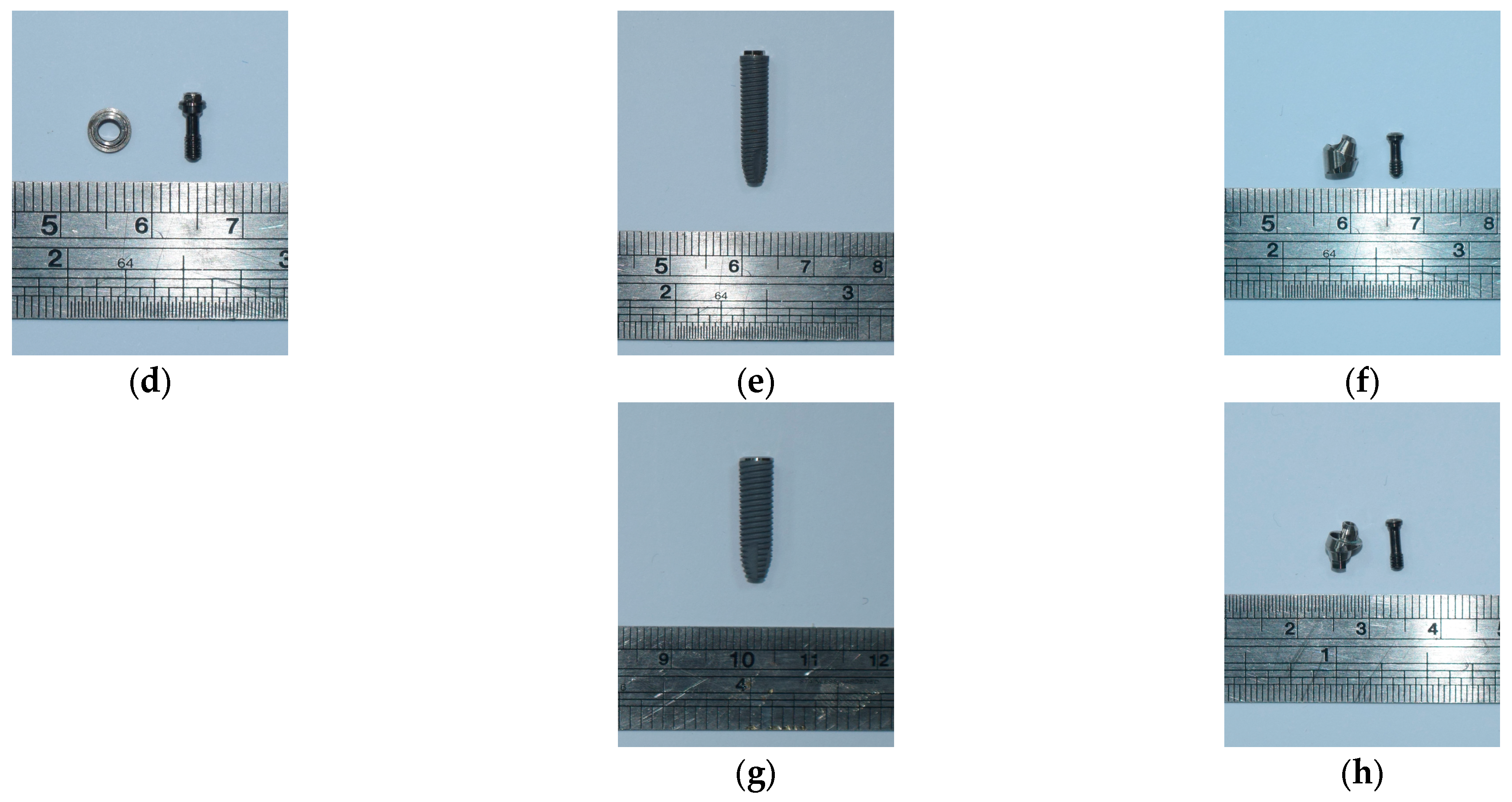 Jfb 14 00515 g001b Jfb 14 00515 g001b