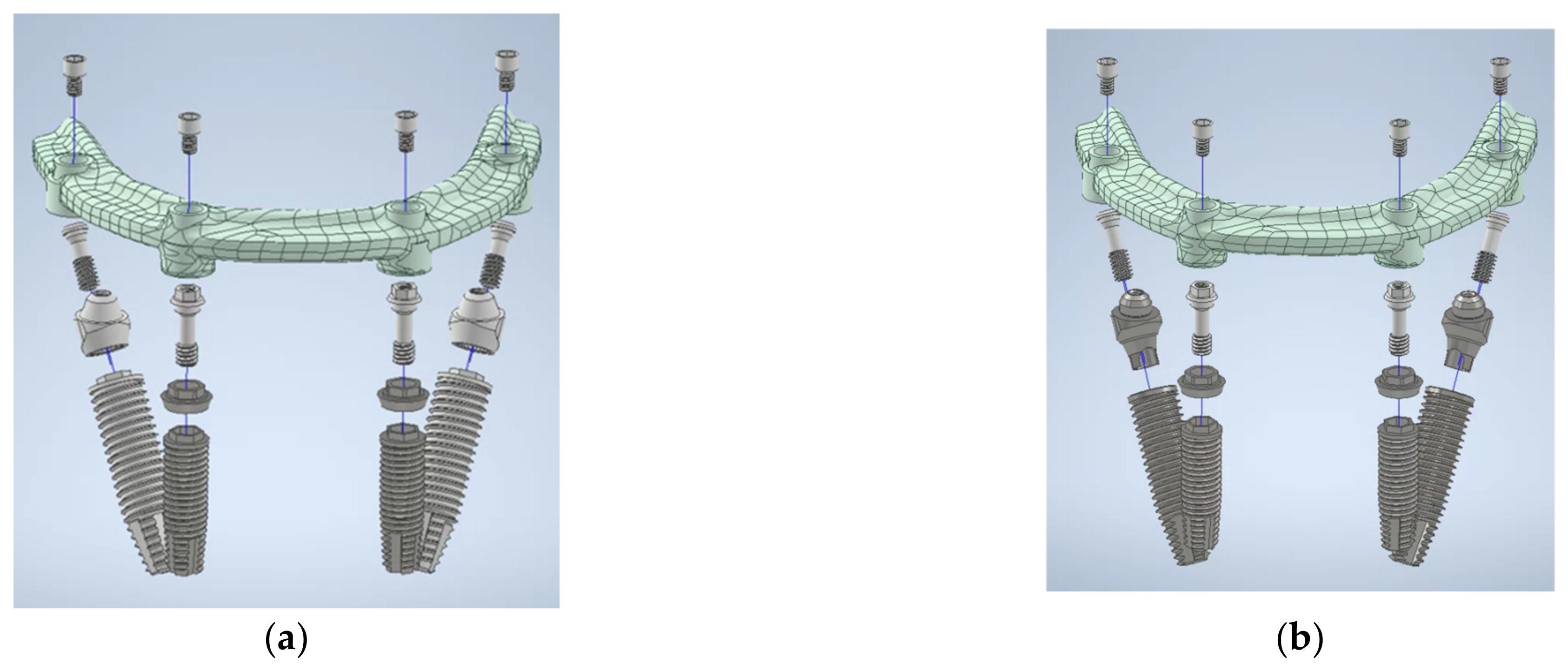 Jfb 14 00515 g002 Jfb 14 00515 g002