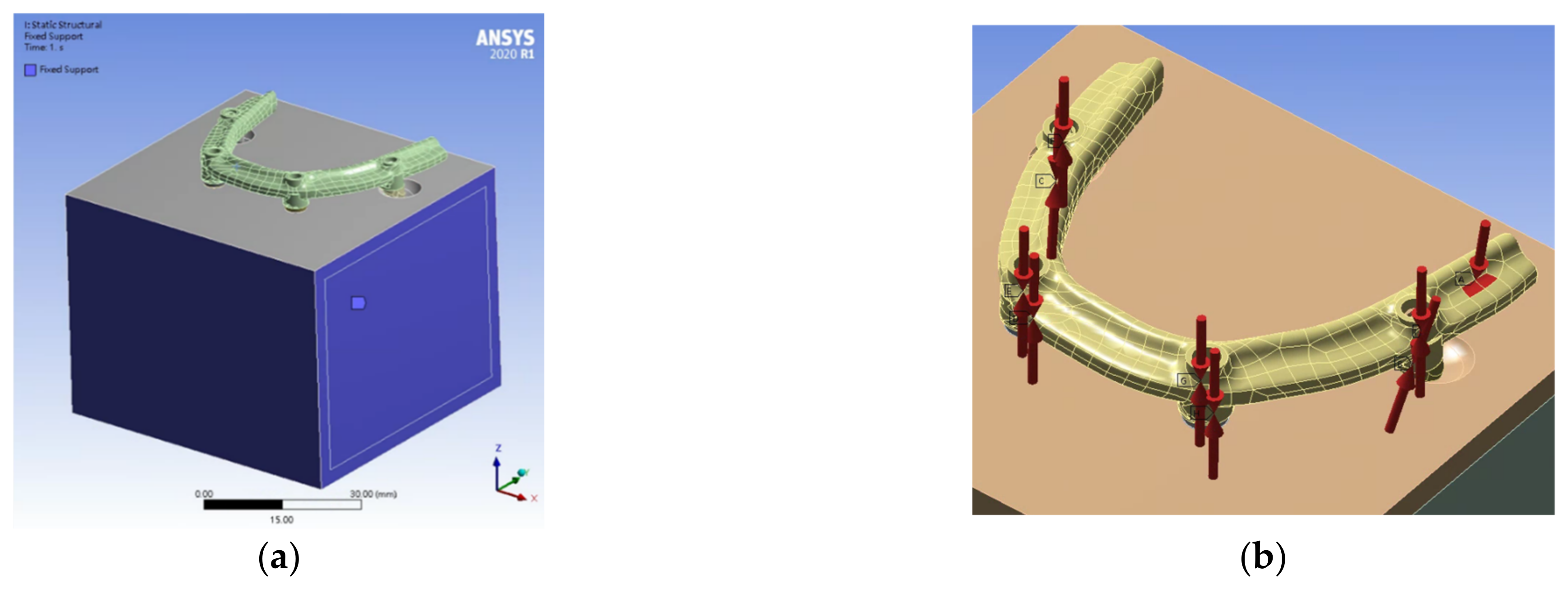 Jfb 14 00515 g003 Jfb 14 00515 g003