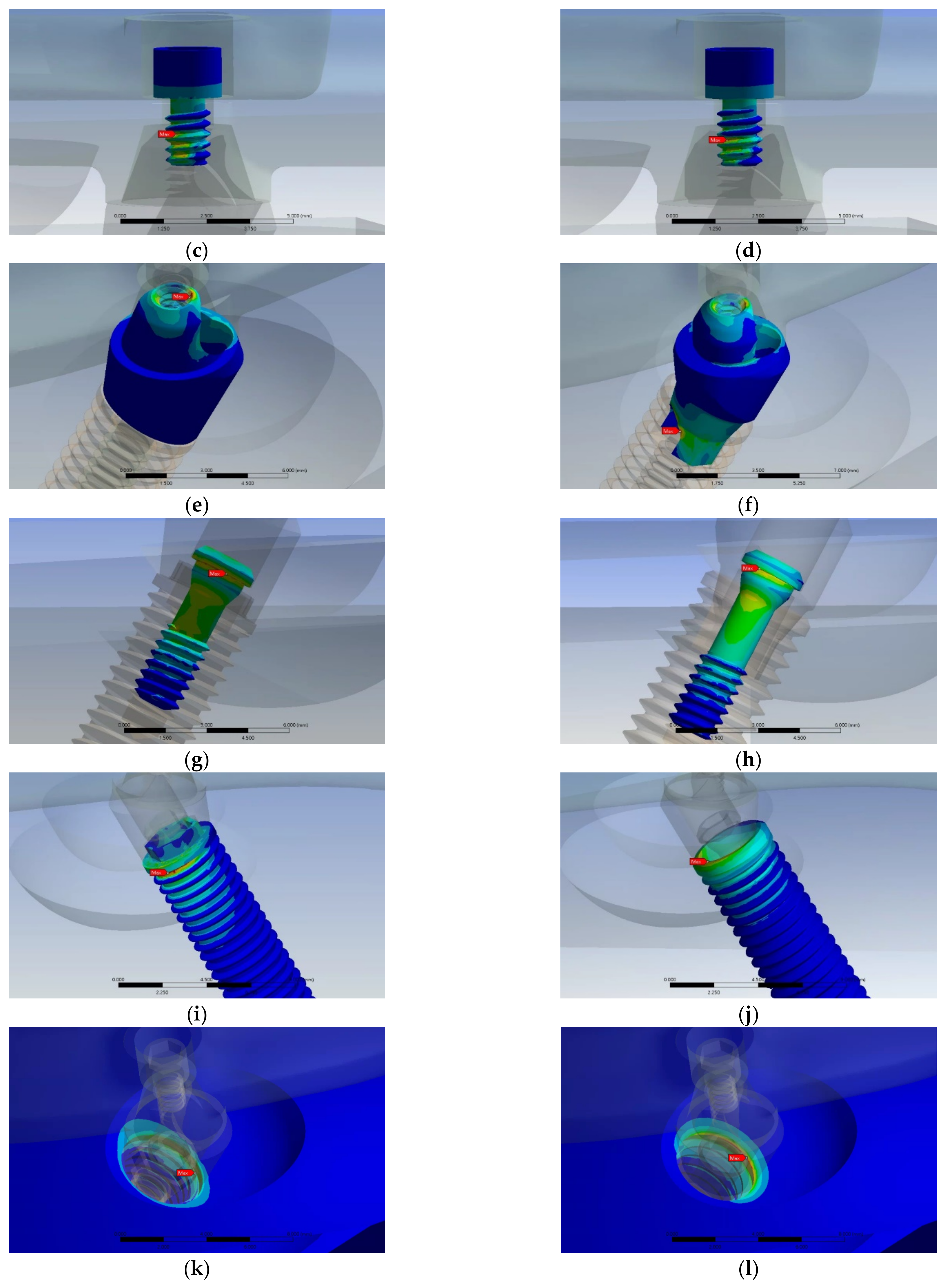 Jfb 14 00515 g005b Jfb 14 00515 g005b