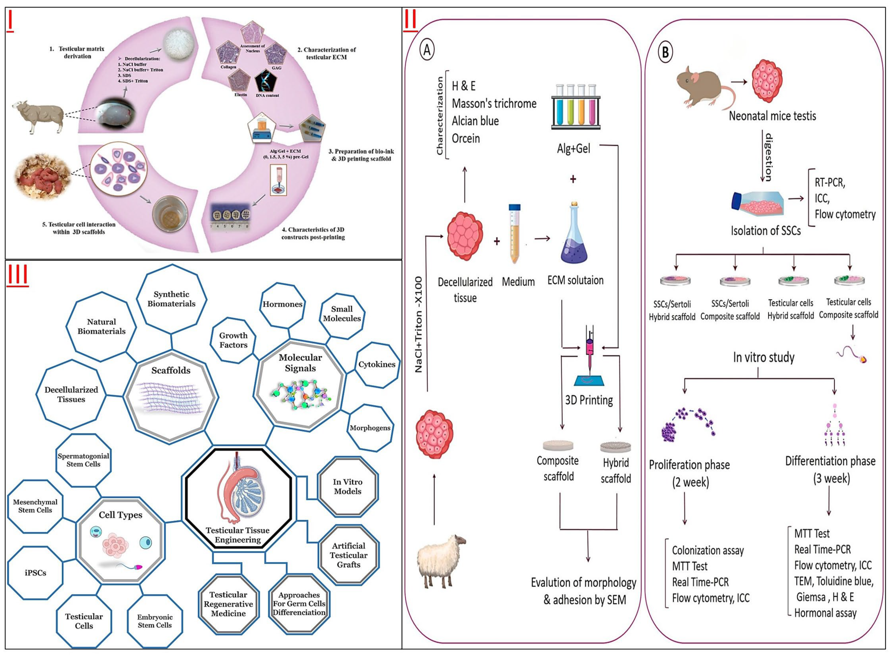 Jfb 14 00543 g005 Jfb 14 00543 g005