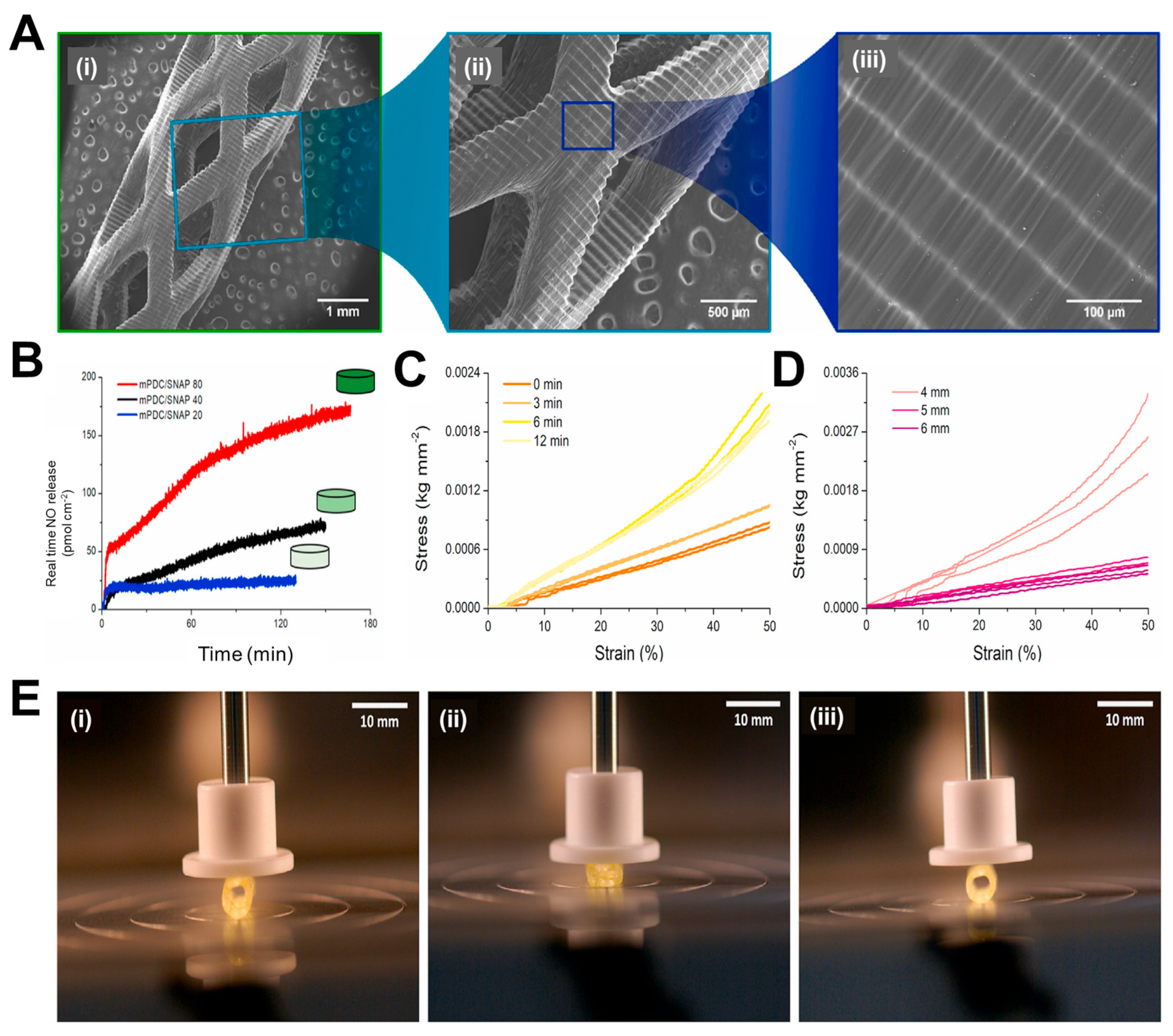 Jfb 14 00544 g005 Jfb 14 00544 g005