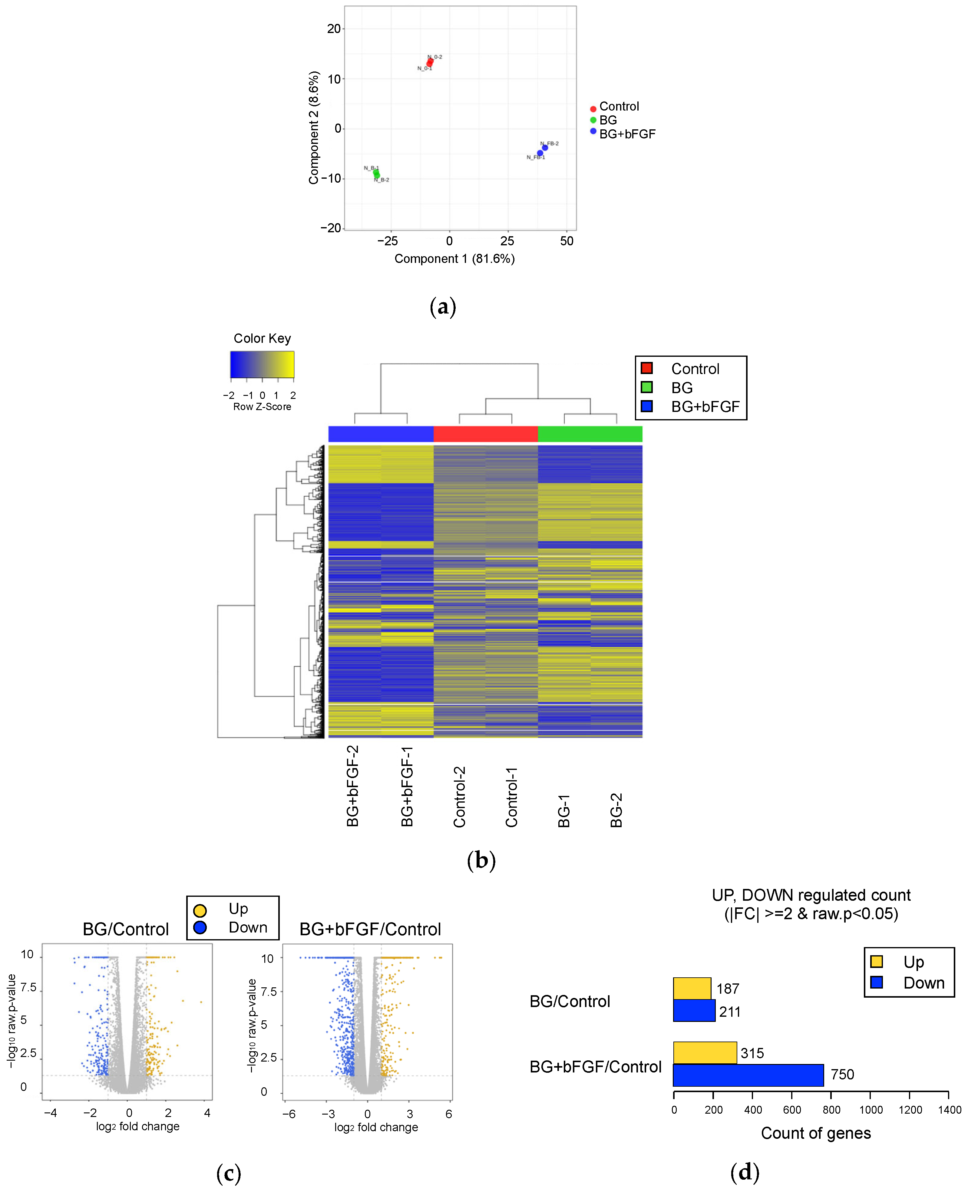Jfb 14 00568 g005 Jfb 14 00568 g005