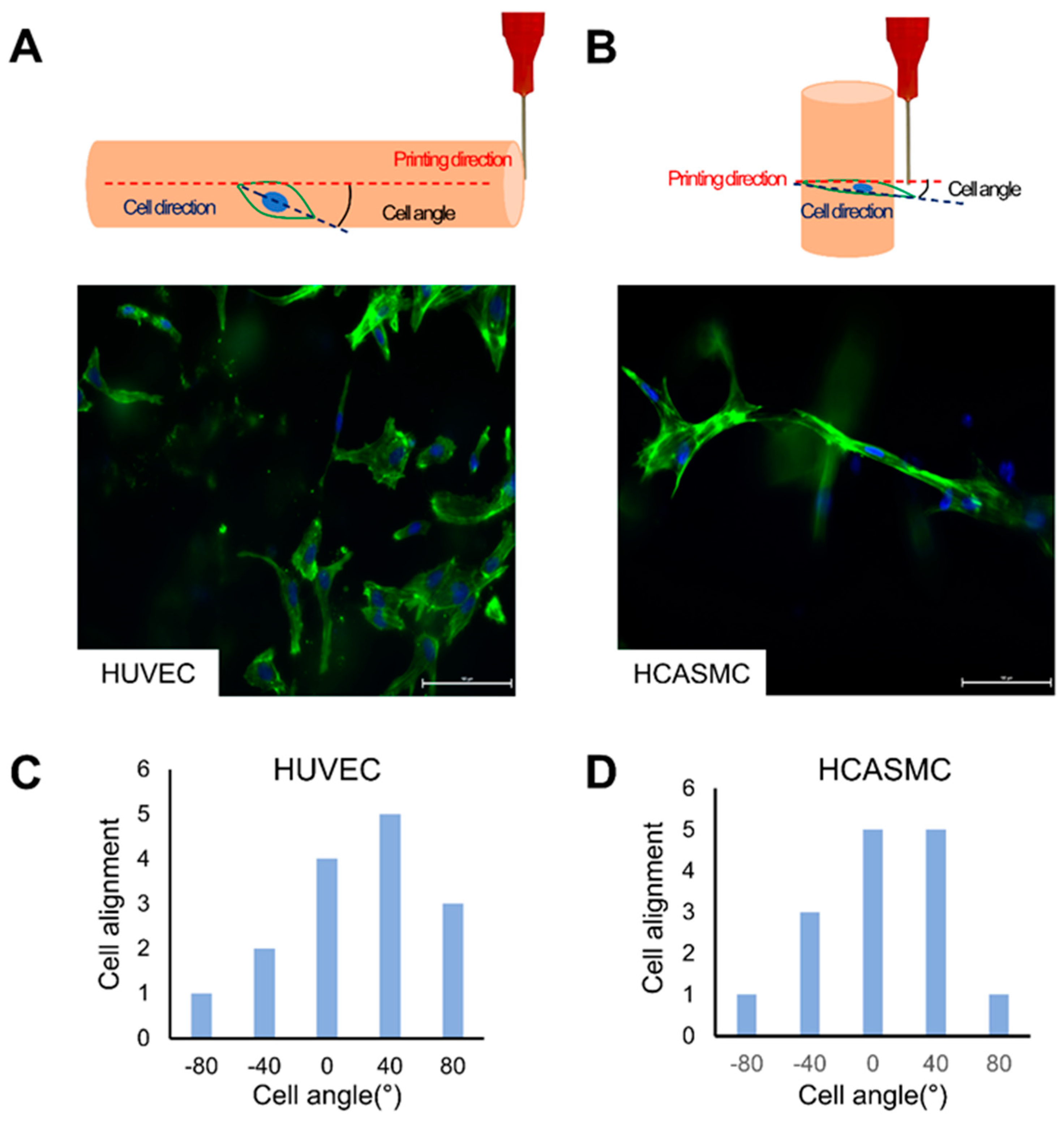 Jfb 15 00002 g006 Jfb 15 00002 g006