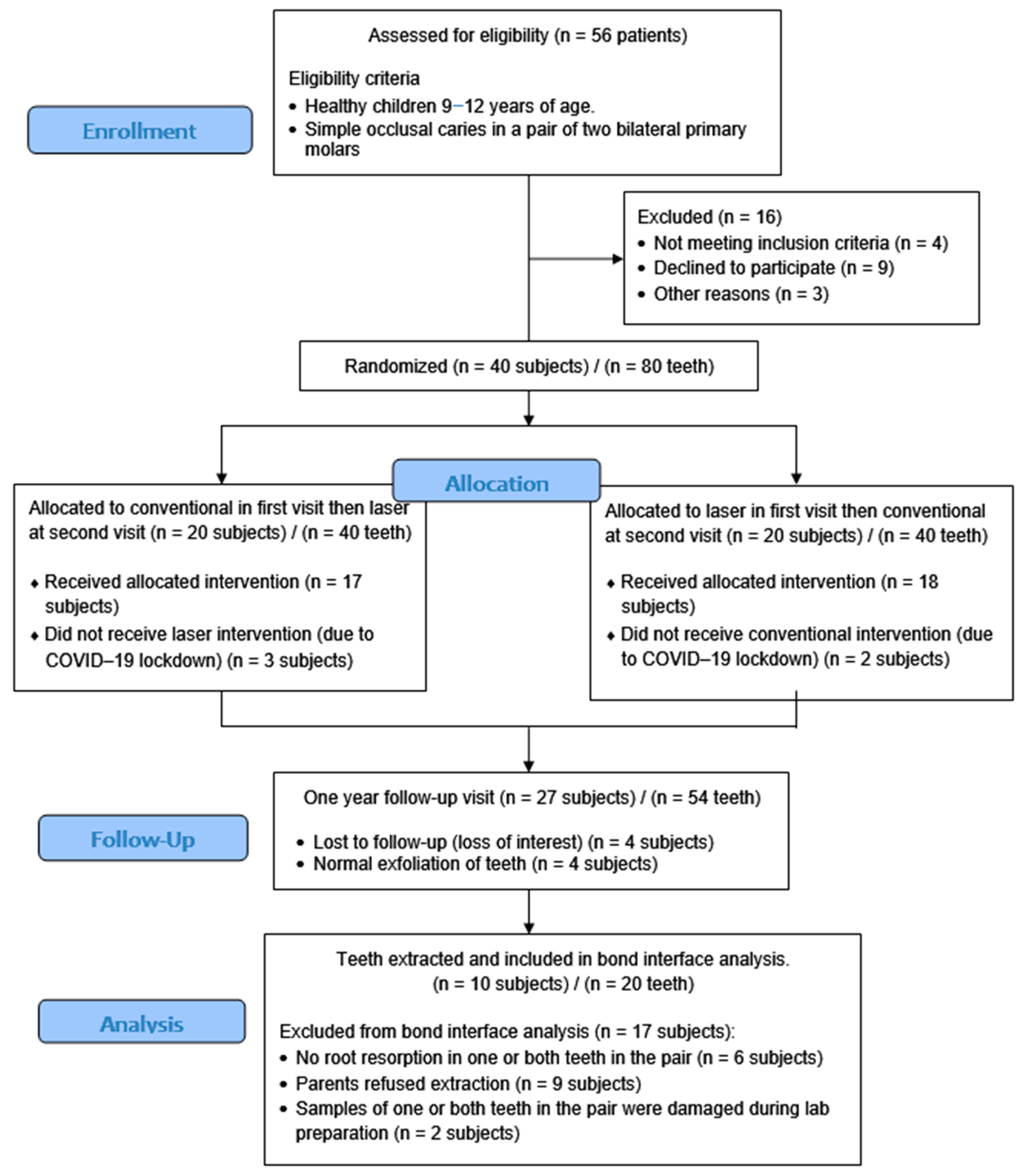 Jfb 15 00017 g004 Jfb 15 00017 g004