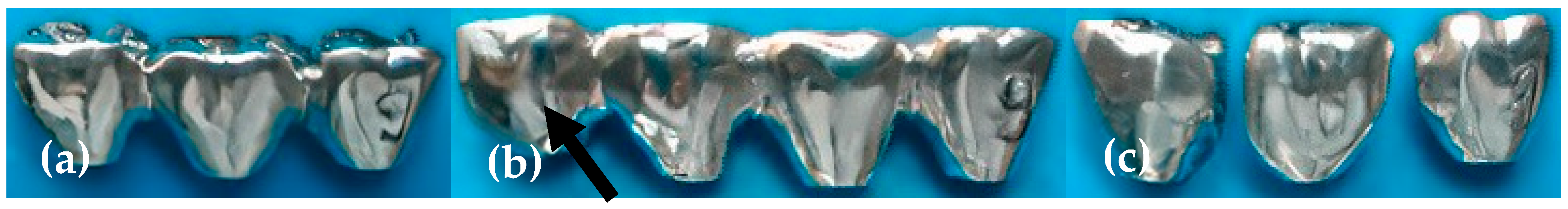 Jfb 15 00047 g001 Jfb 15 00047 g001