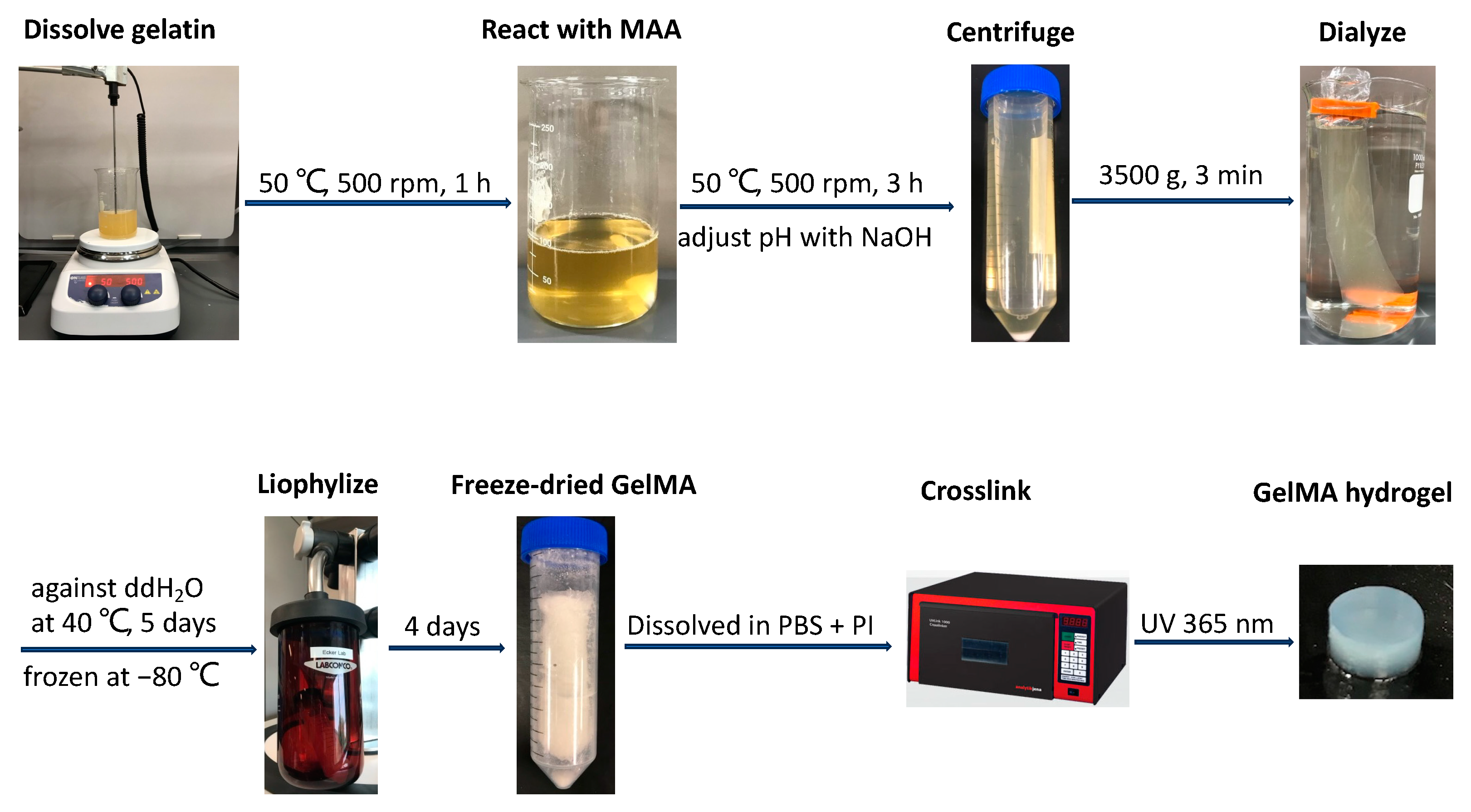 Jfb 15 00077 g001 Jfb 15 00077 g001