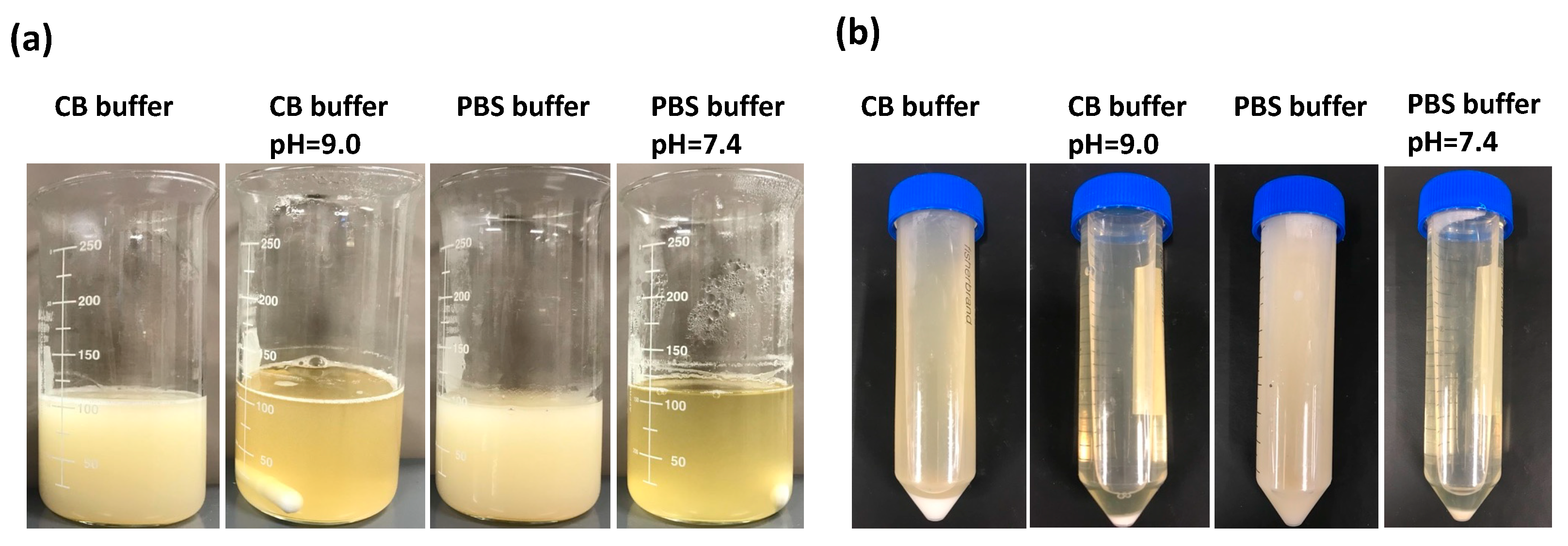 Jfb 15 00077 g002 Jfb 15 00077 g002