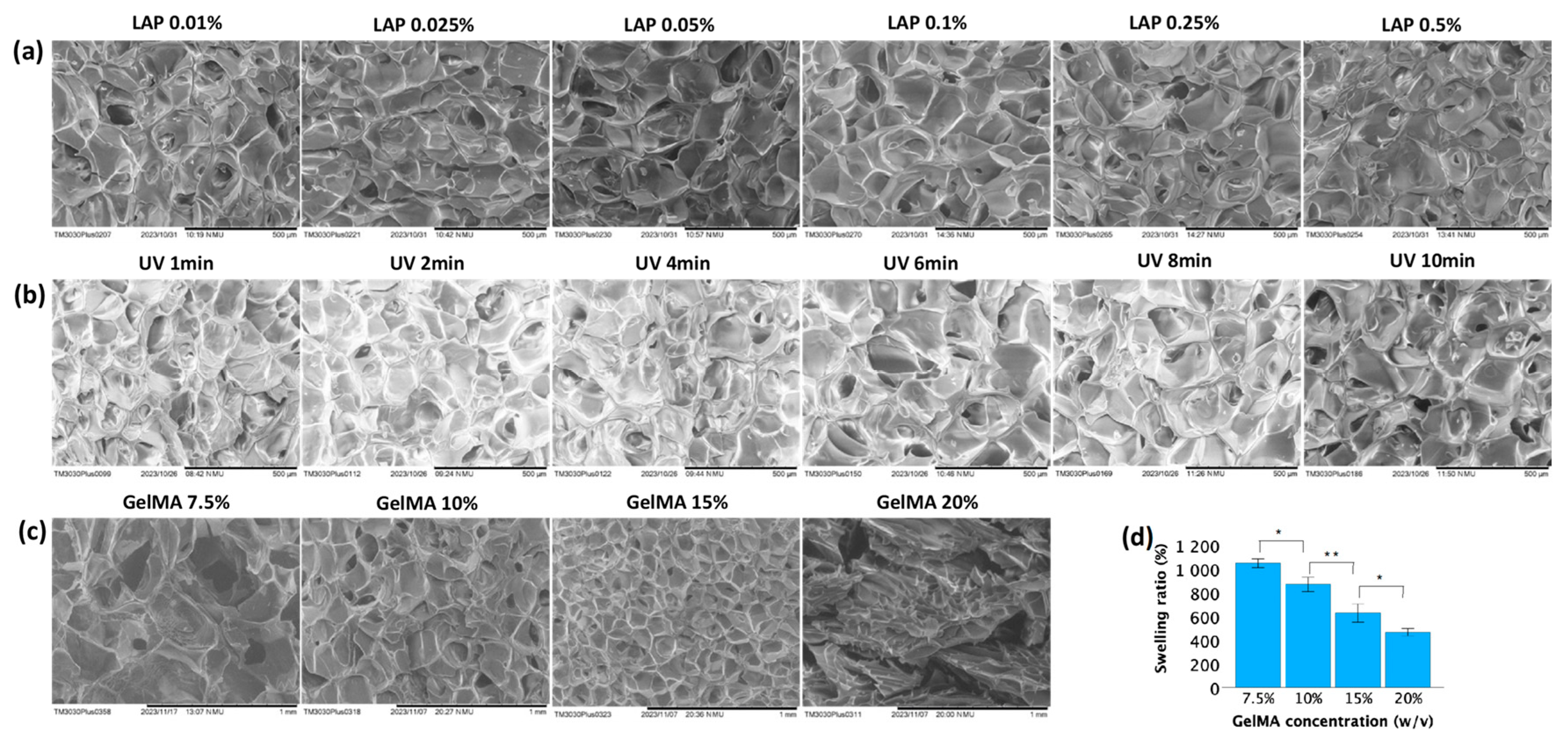 Jfb 15 00077 g005 Jfb 15 00077 g005