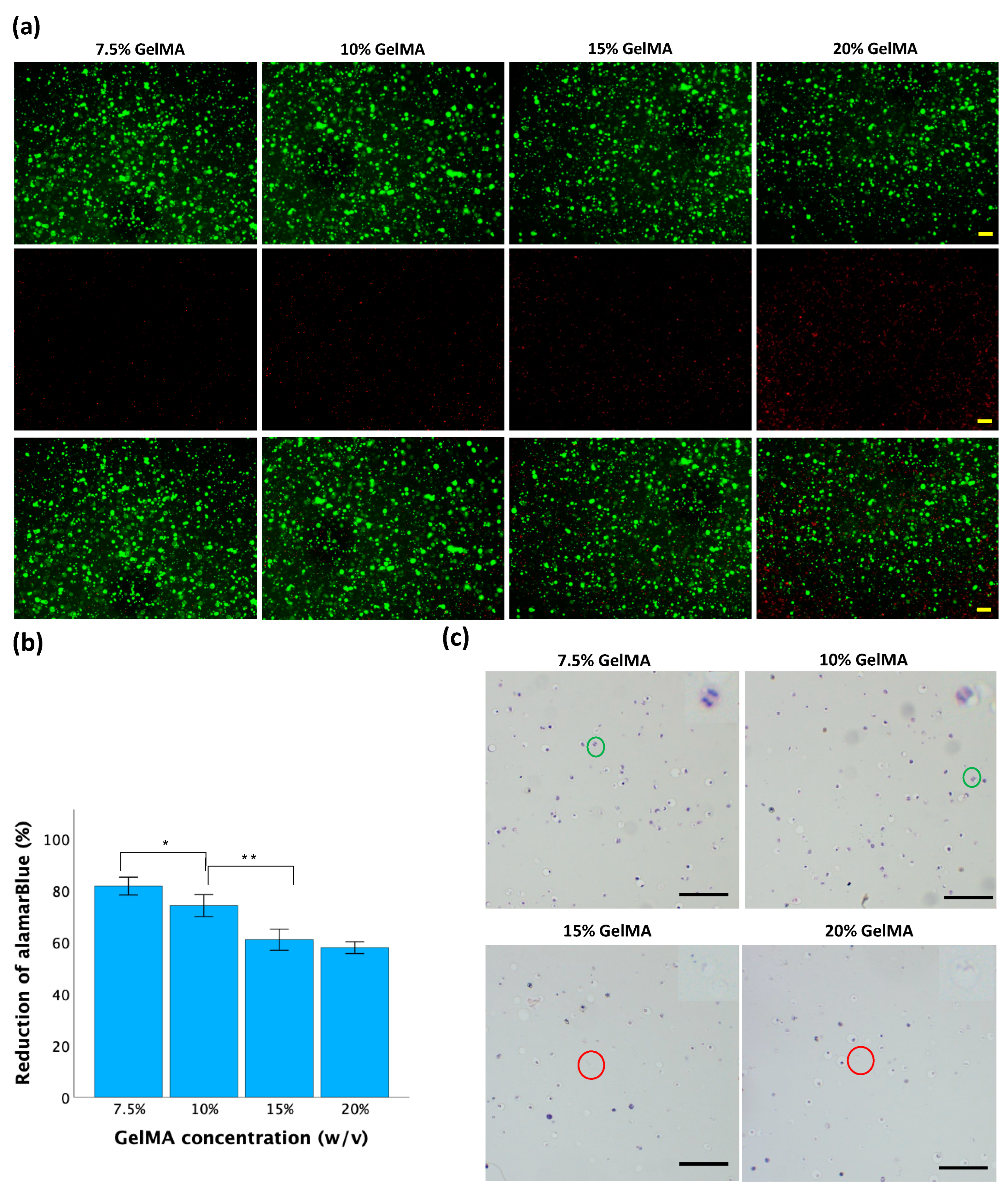 Jfb 15 00077 g007 Jfb 15 00077 g007
