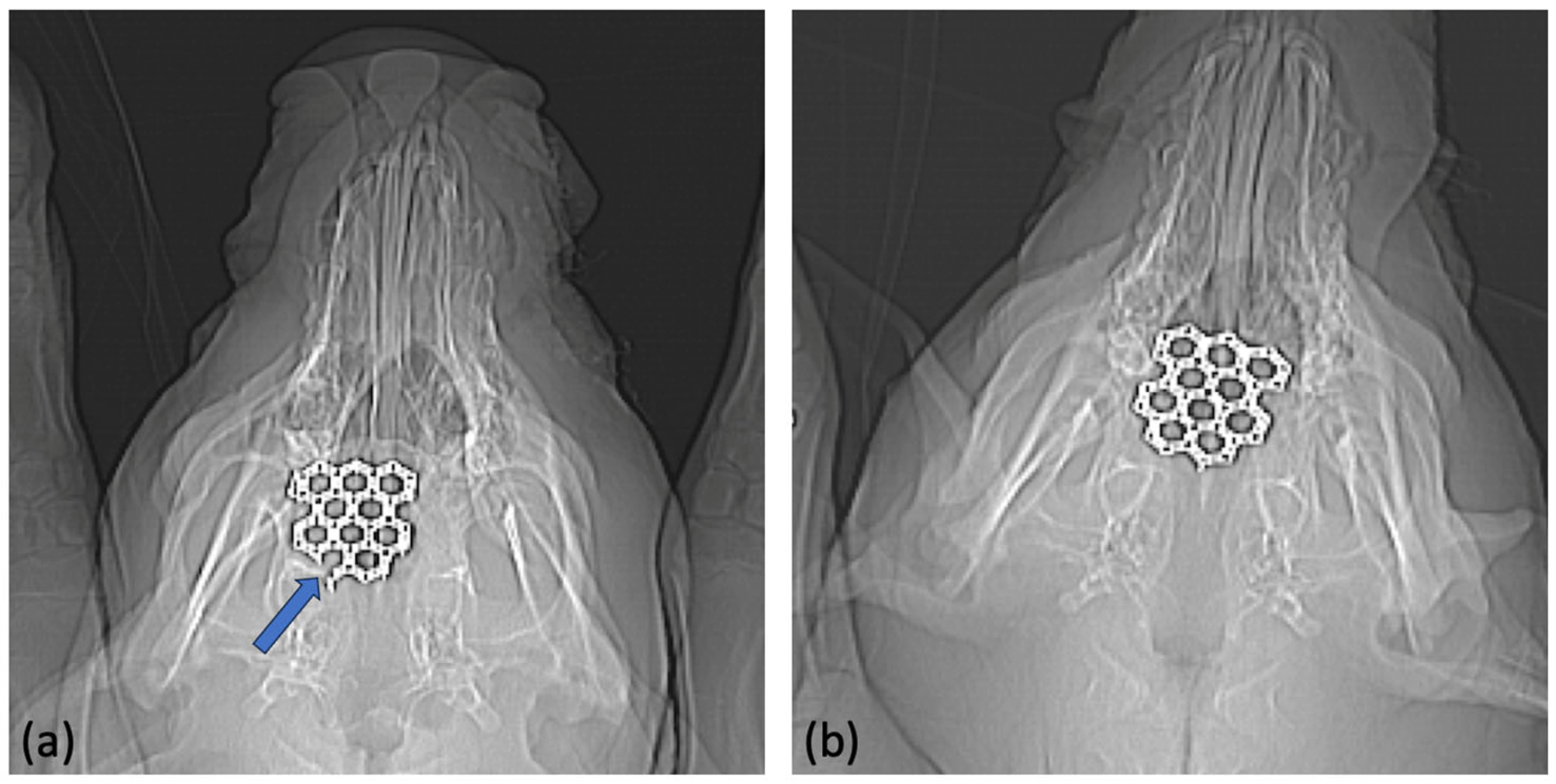 Jfb 15 00118 g008