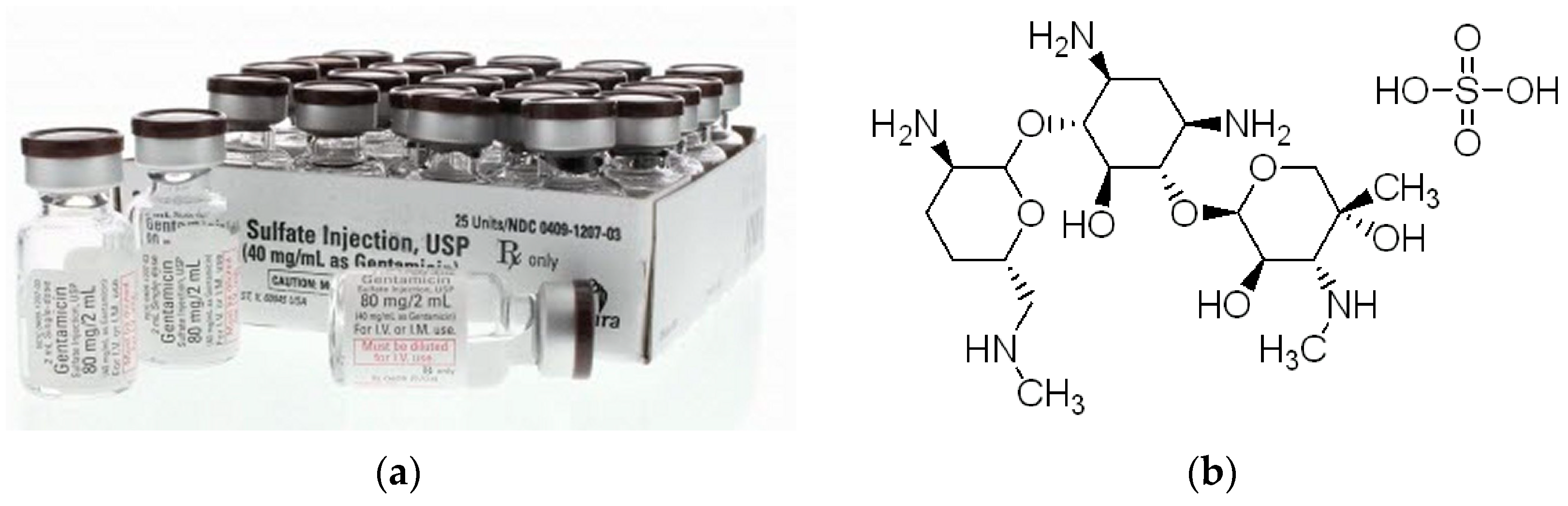 Jfb 15 00180 g001 Jfb 15 00180 g001