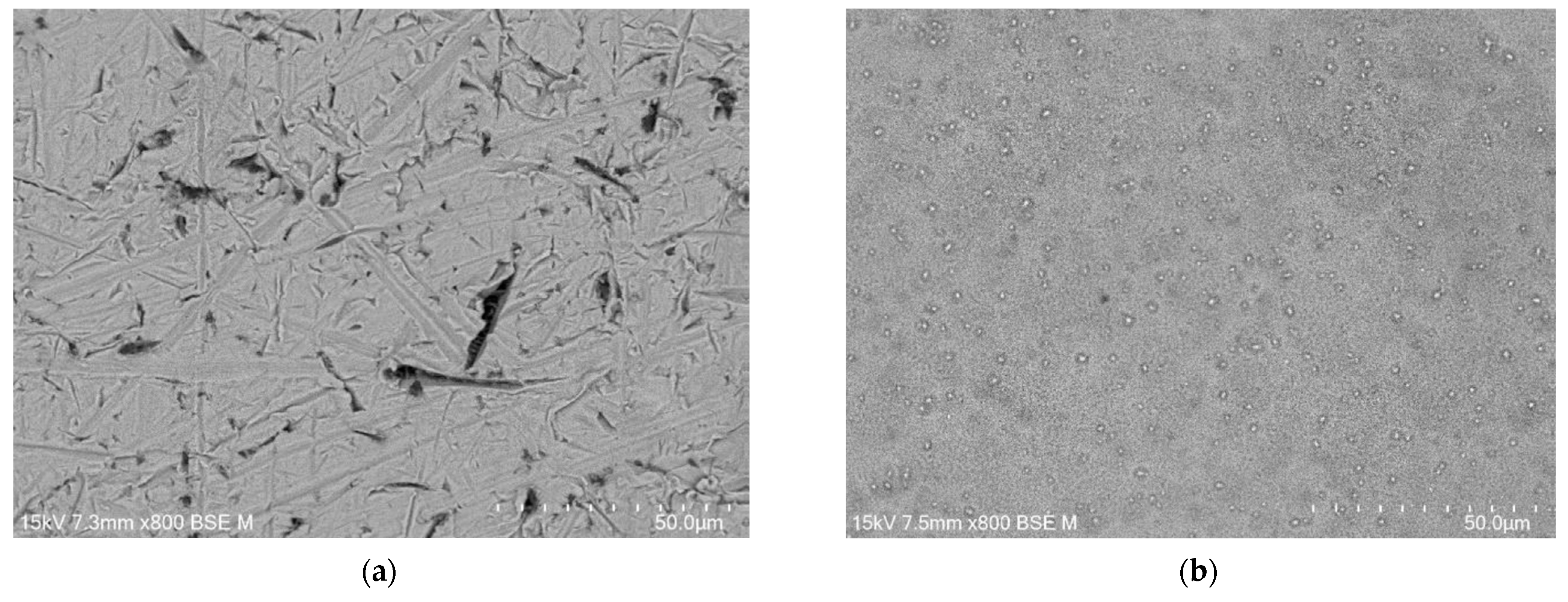 Jfb 15 00180 g003 Jfb 15 00180 g003