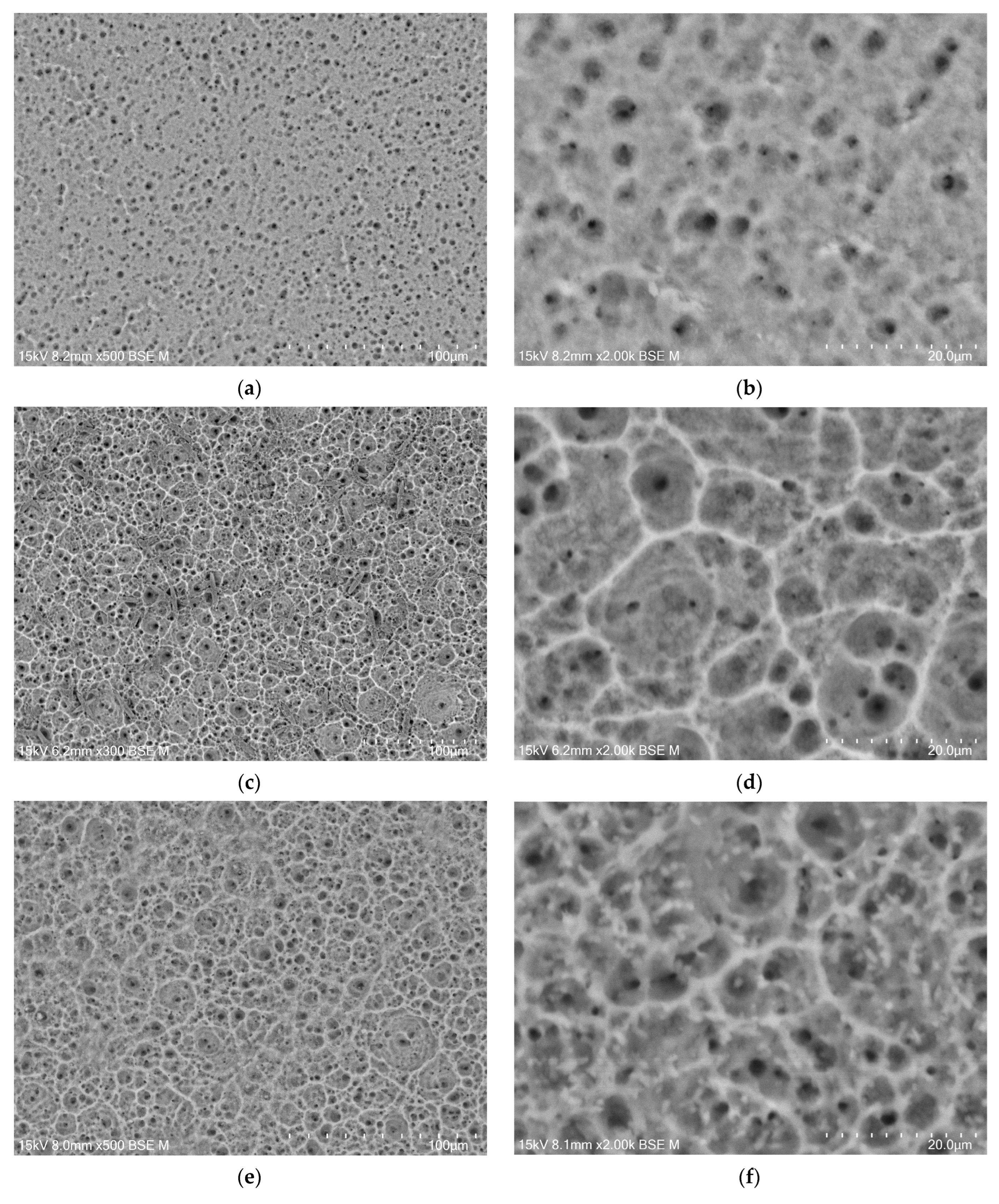 Jfb 15 00180 g004a Jfb 15 00180 g004a