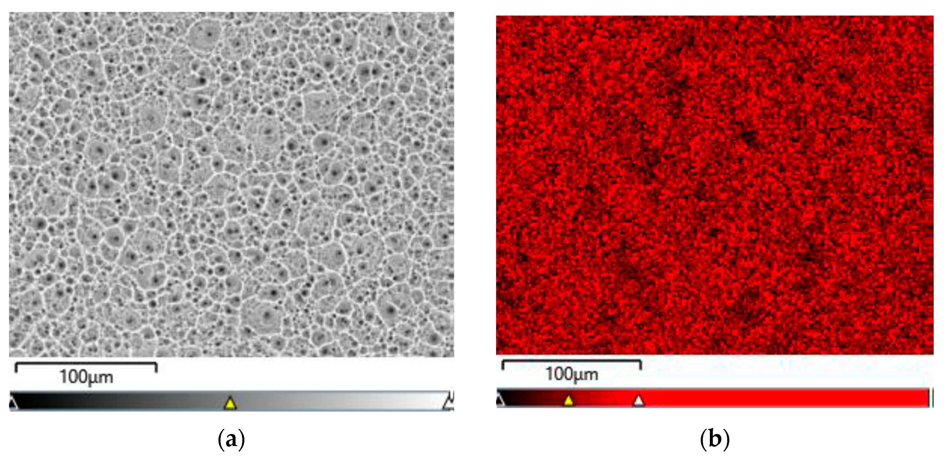 Jfb 15 00180 g006a Jfb 15 00180 g006a
