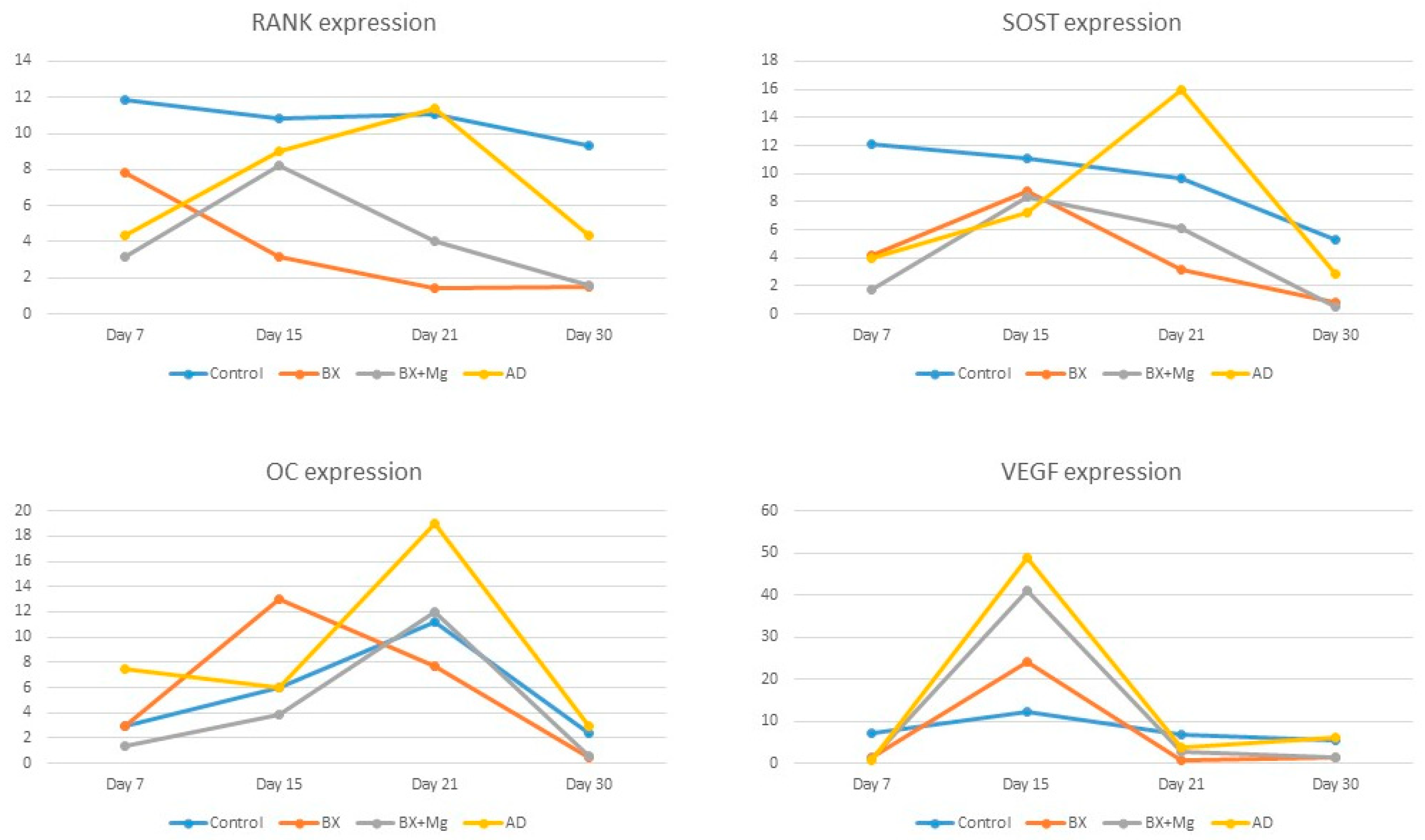 Jfb 15 00270 g002 Jfb 15 00270 g002