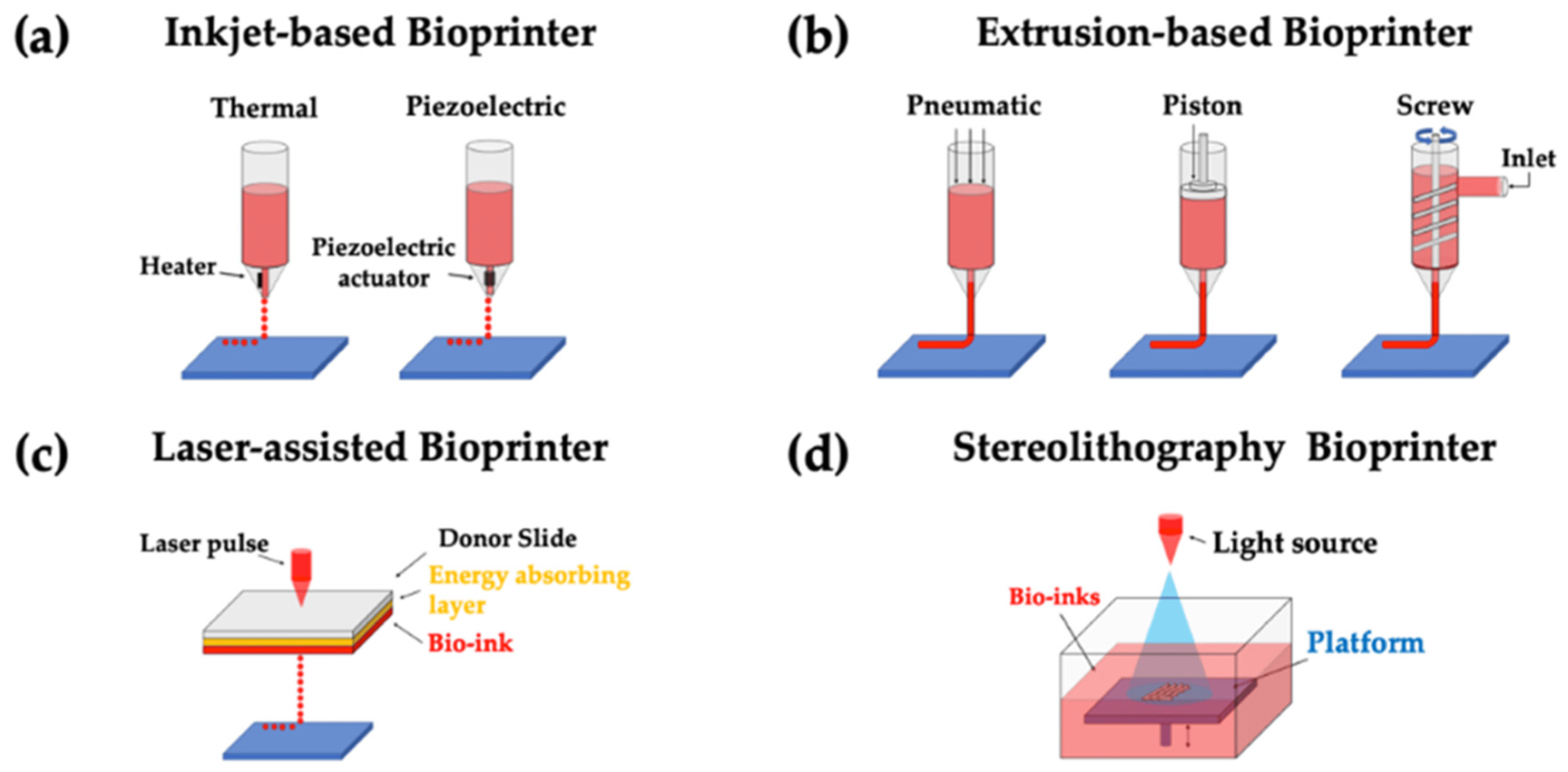 Jfb 15 00280 g003 Jfb 15 00280 g003