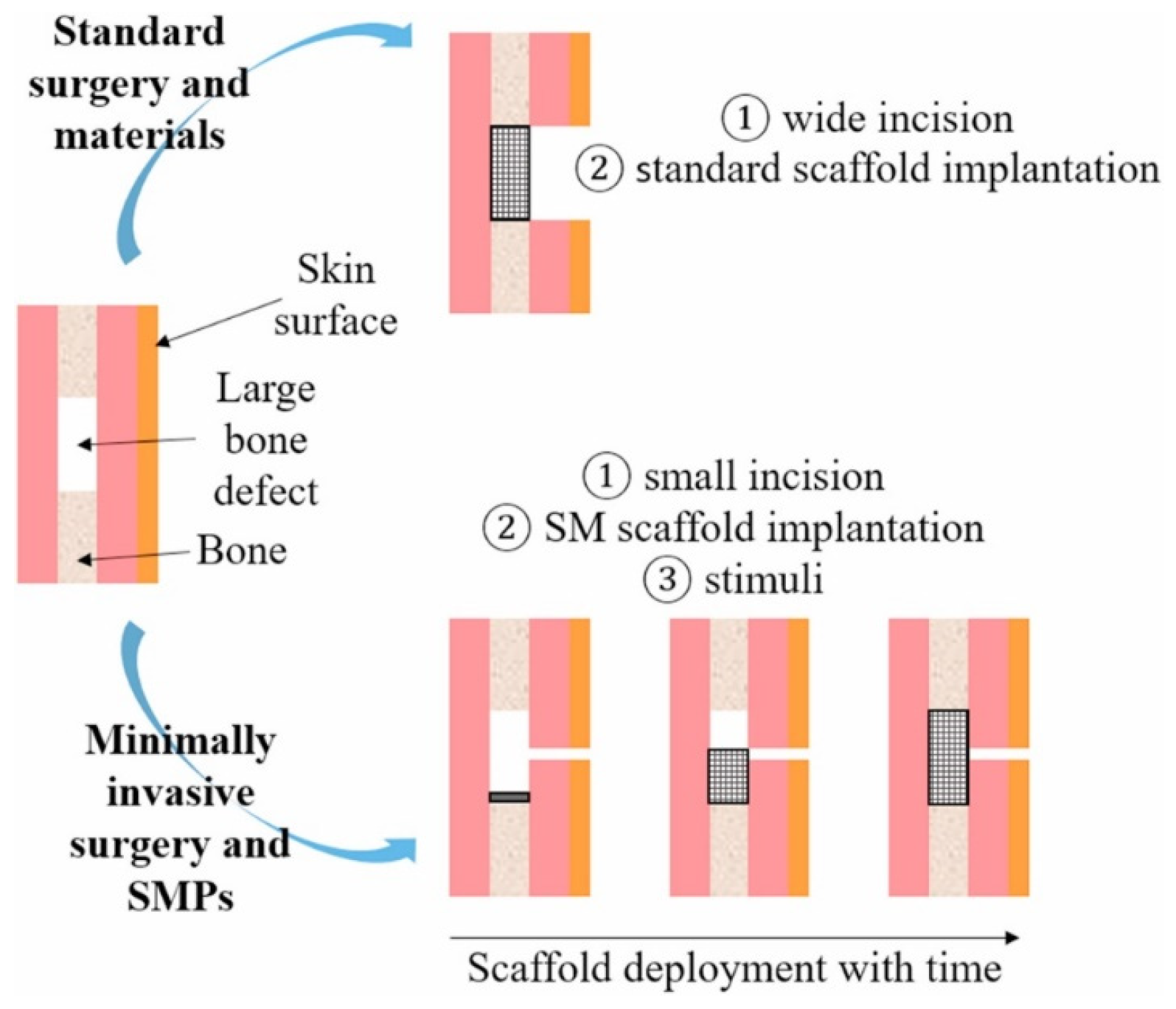 Jfb 15 00280 g008 Jfb 15 00280 g008