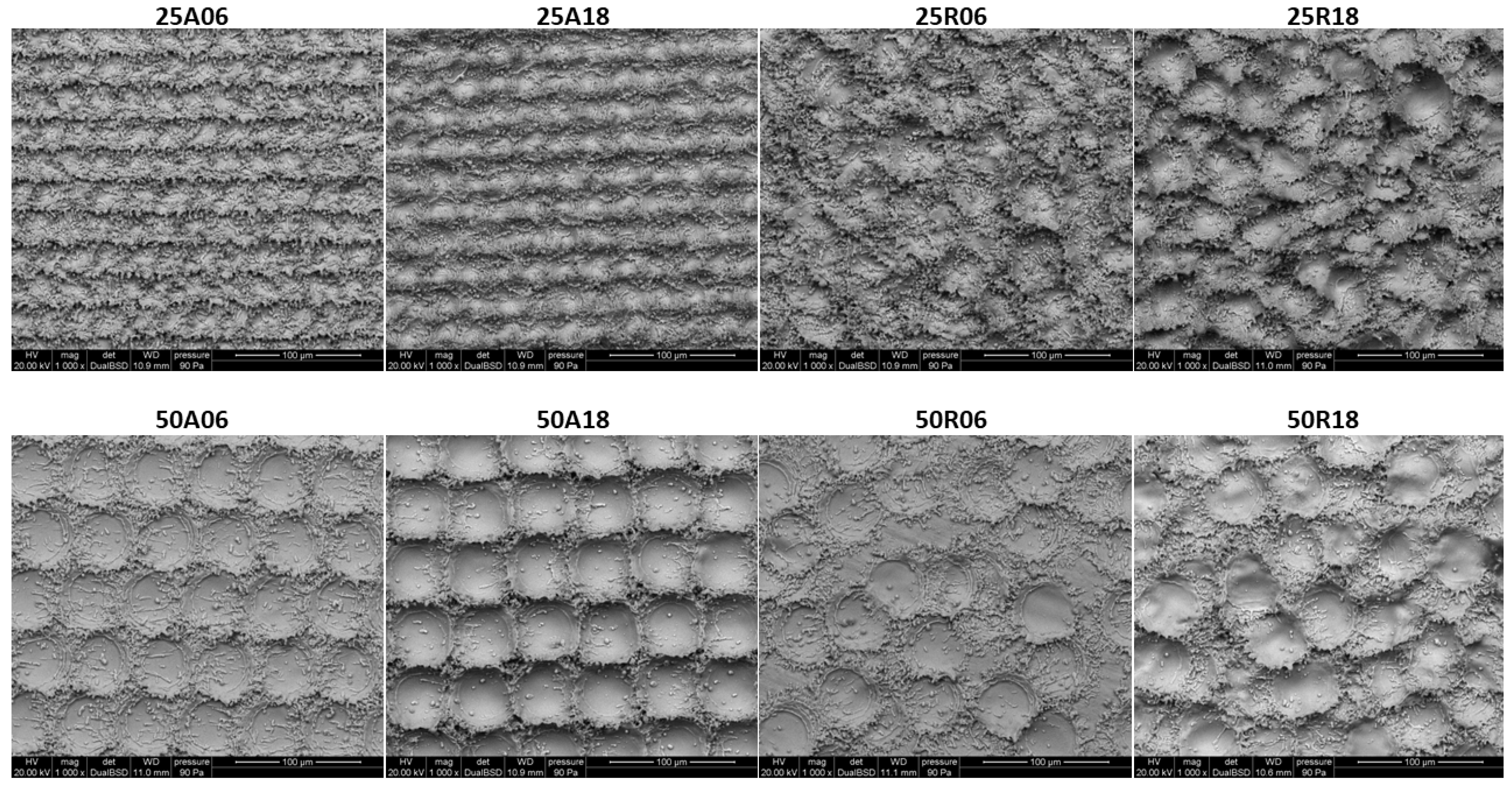 Jfb 15 00303 g002 Jfb 15 00303 g002