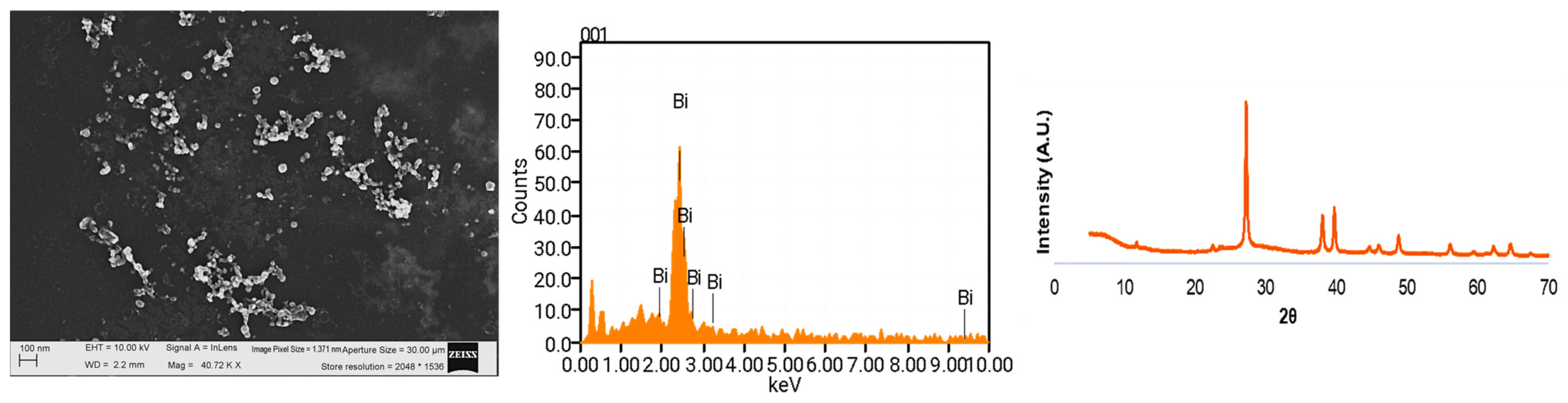 Jfb 15 00309 g001 Jfb 15 00309 g001