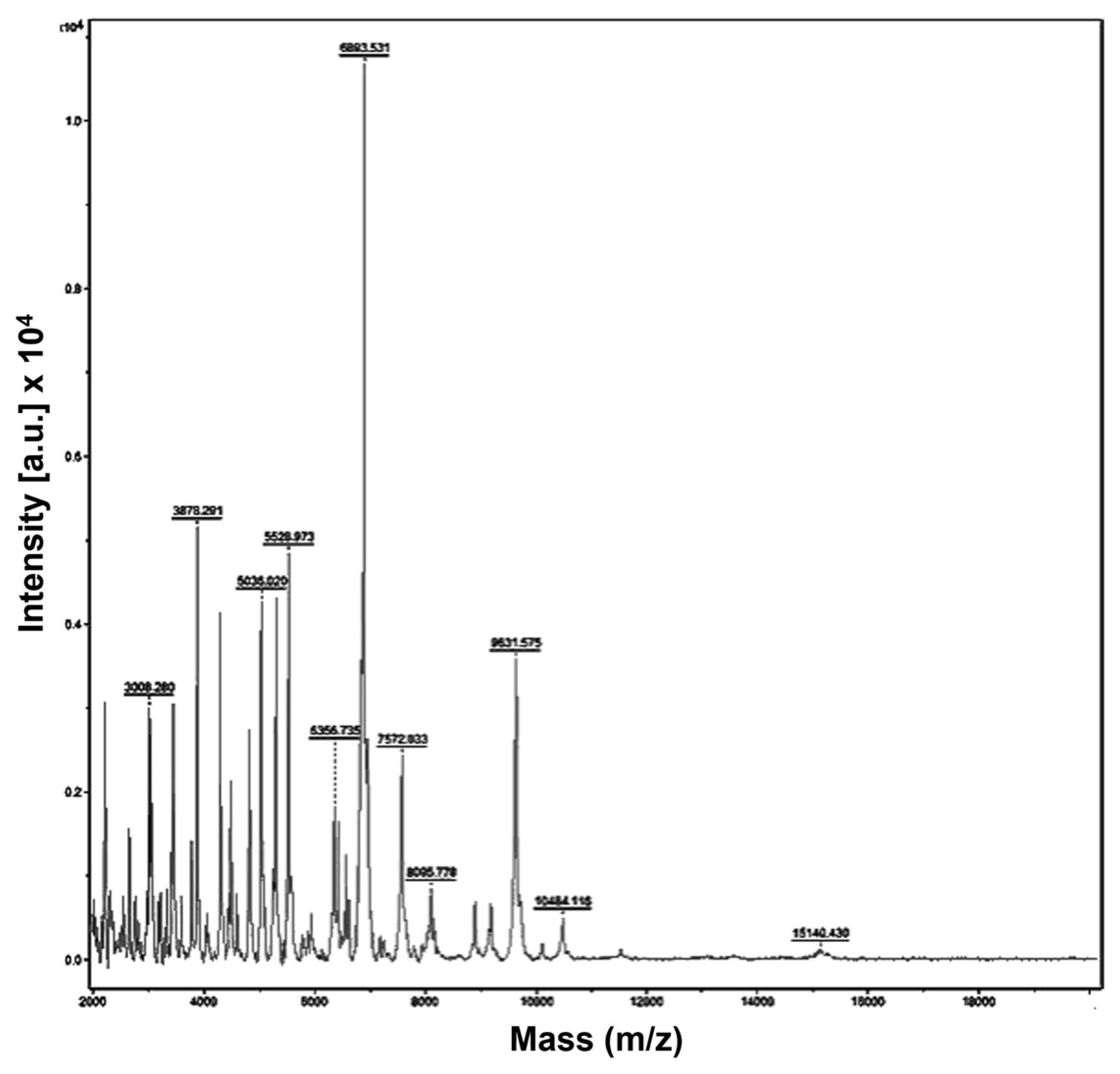 Jfb 15 00309 g005 Jfb 15 00309 g005