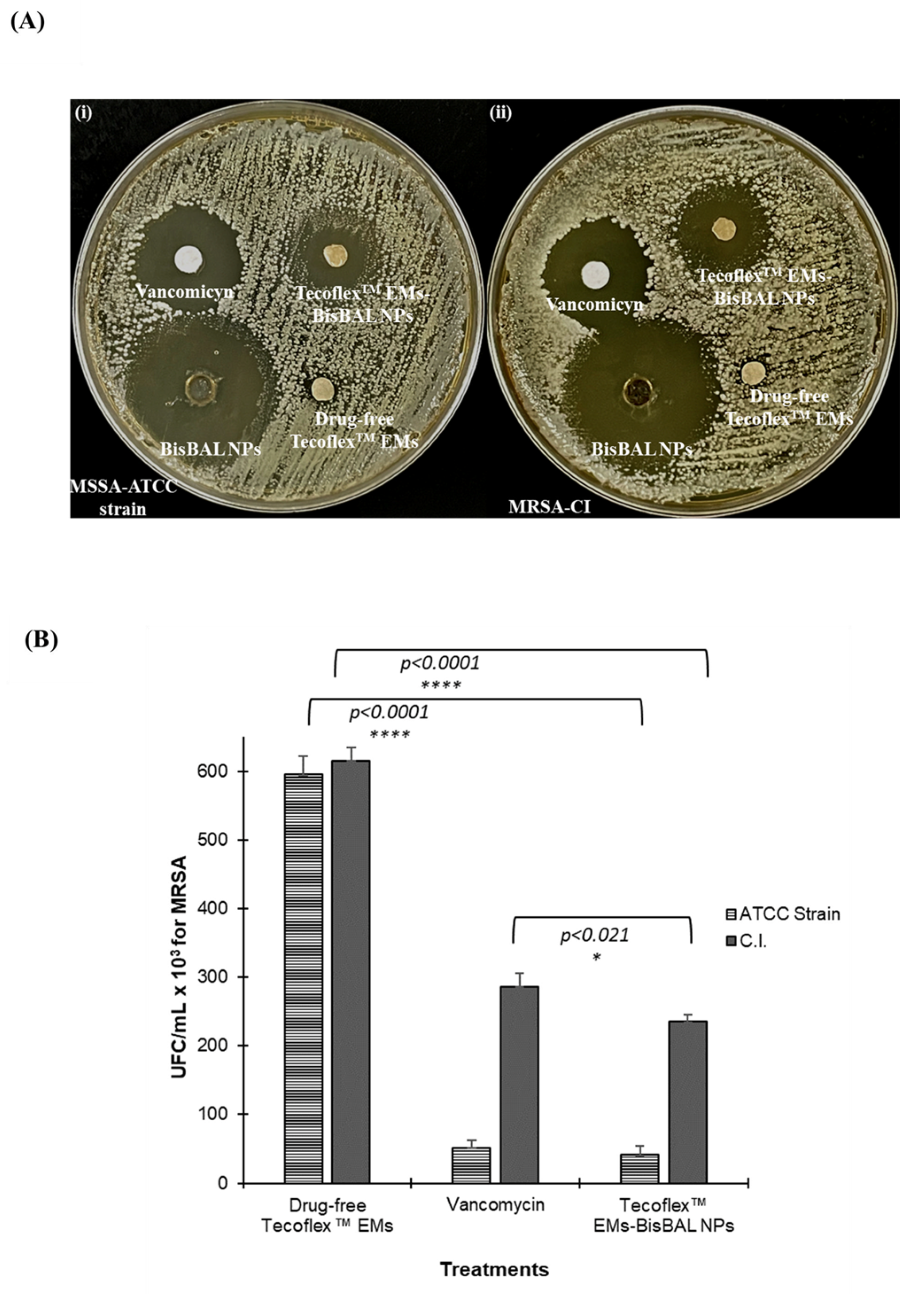 Jfb 15 00309 g006 Jfb 15 00309 g006