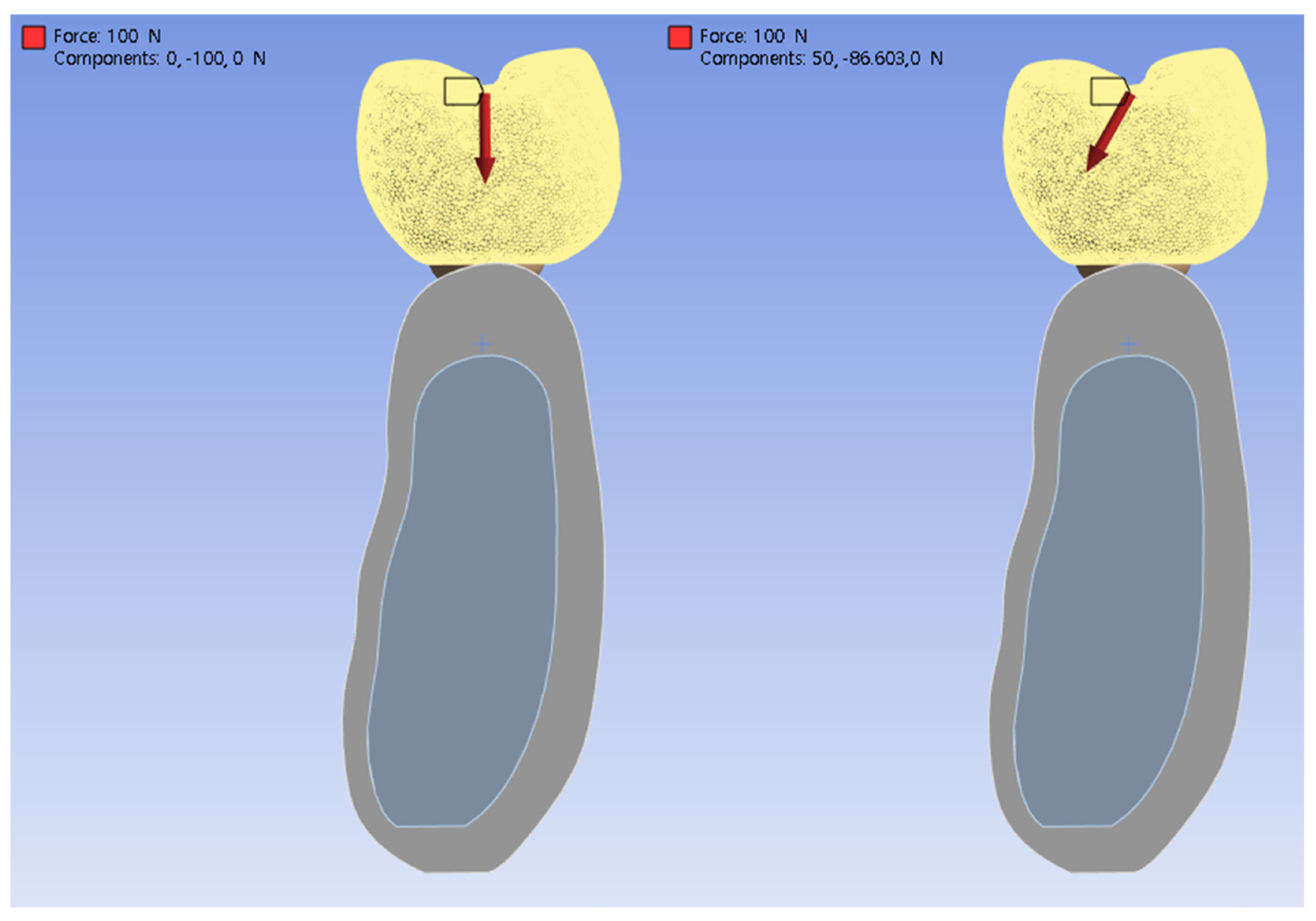 Jfb 16 00039 g003 Jfb 16 00039 g003