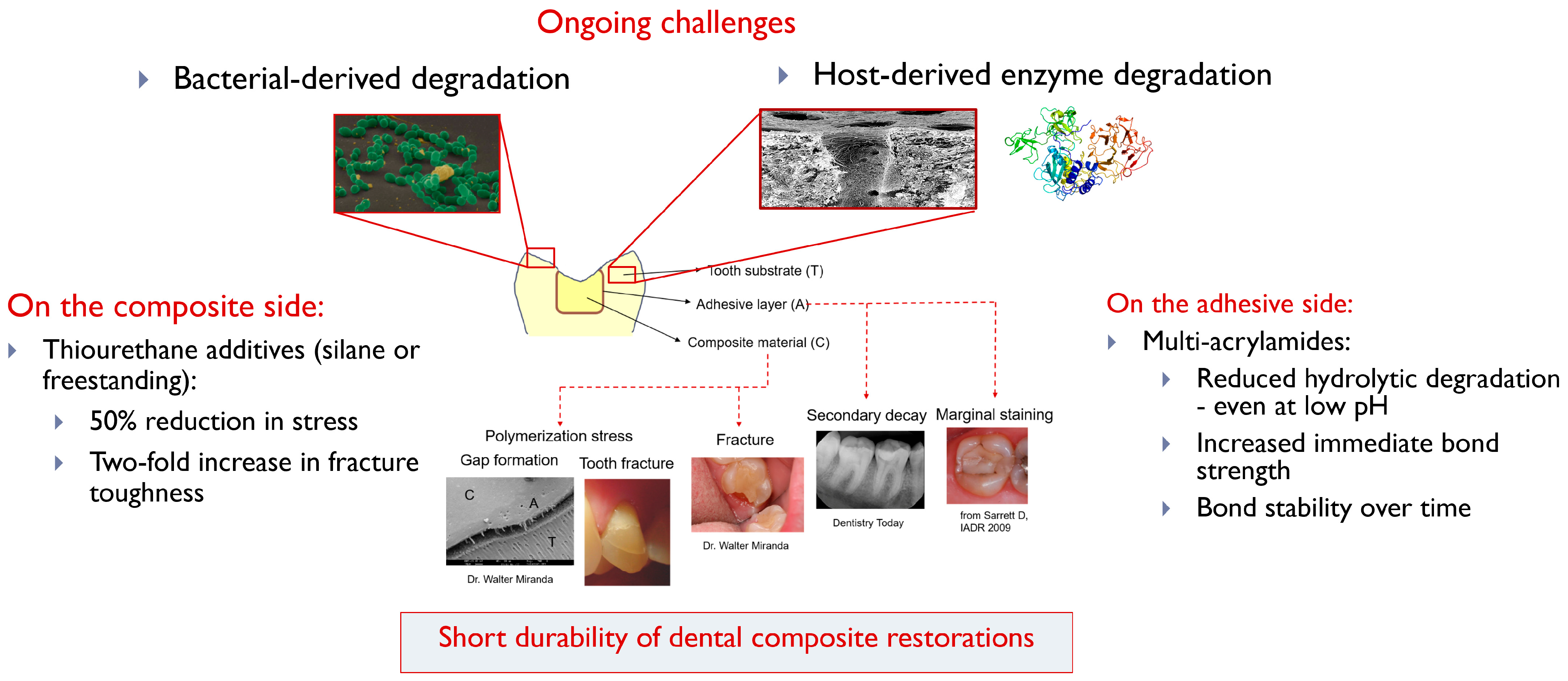 Jfb 16 00042 g001 Jfb 16 00042 g001
