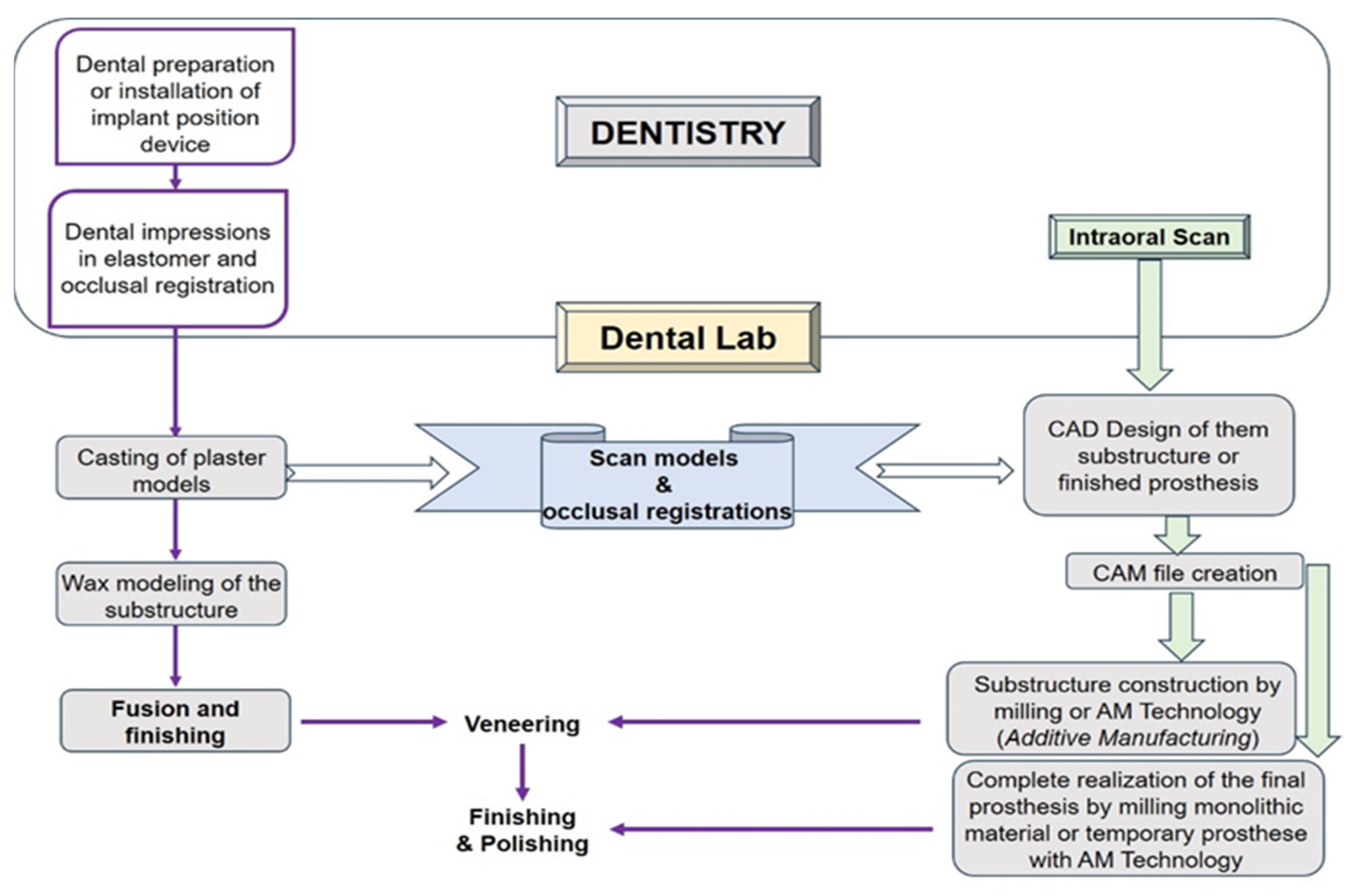 Jfb 16 00046 g001 Jfb 16 00046 g001