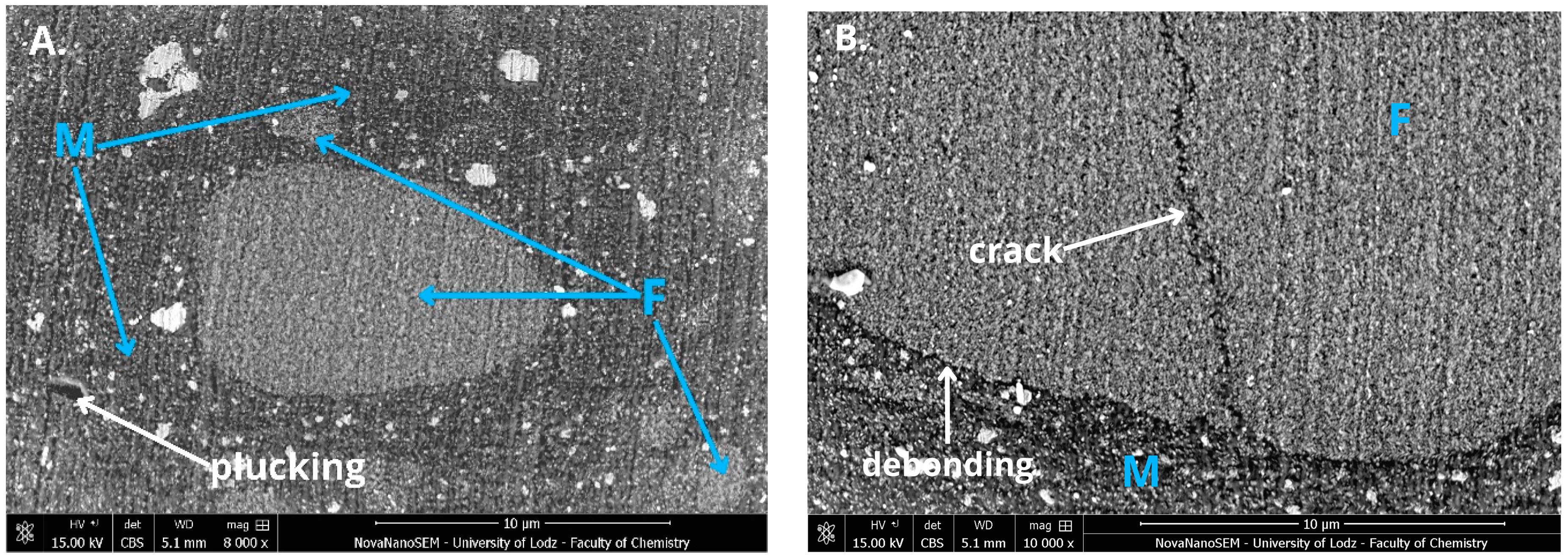 Jfb 16 00049 g003 Jfb 16 00049 g003